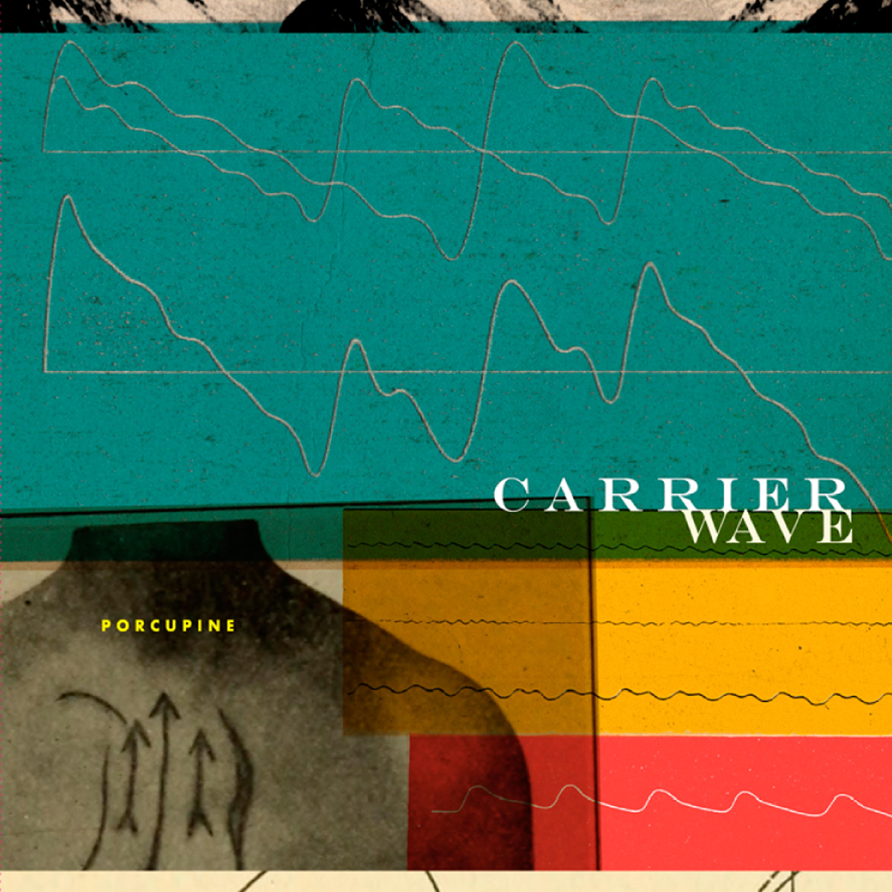 Релиз Carrier Wave