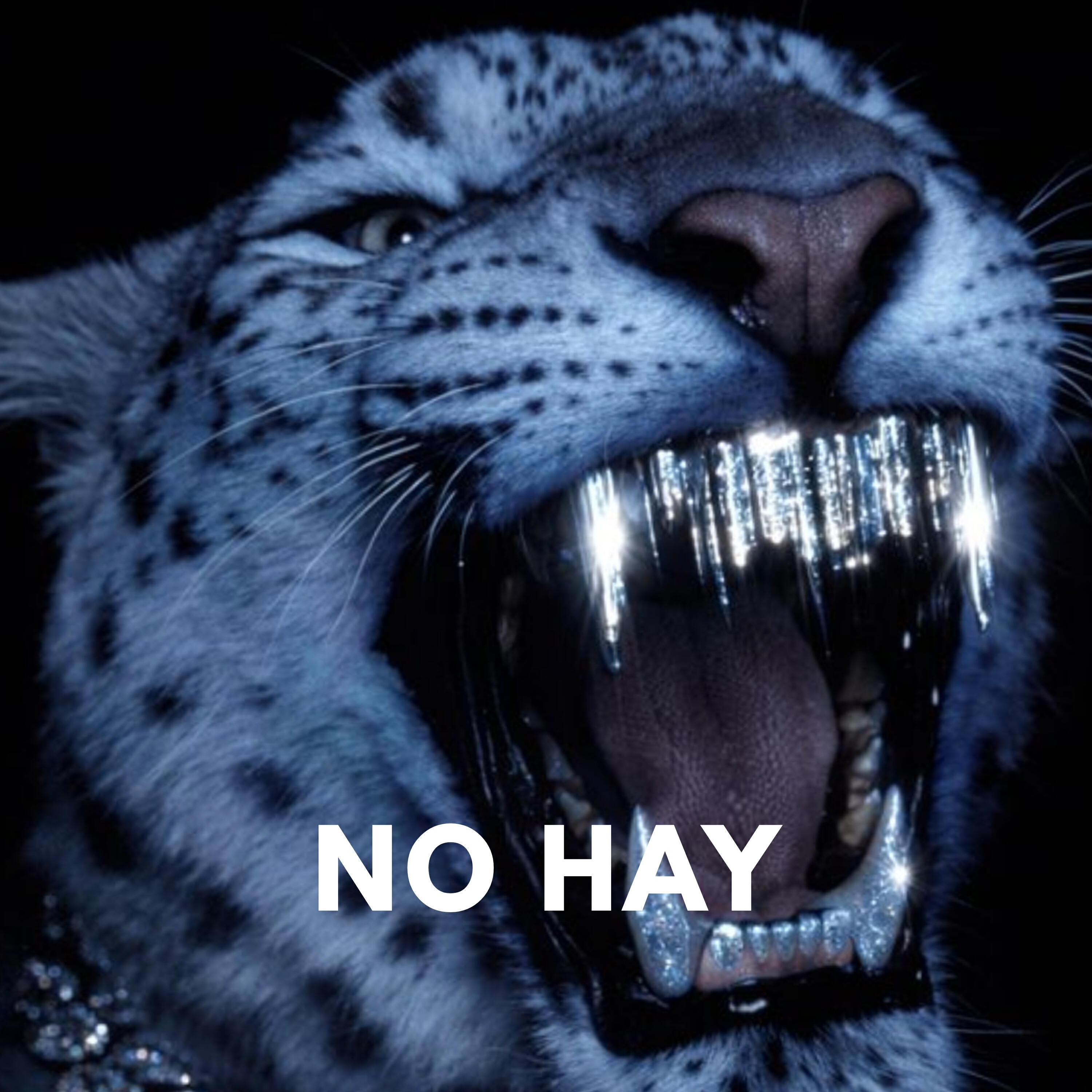 Релиз No Hay