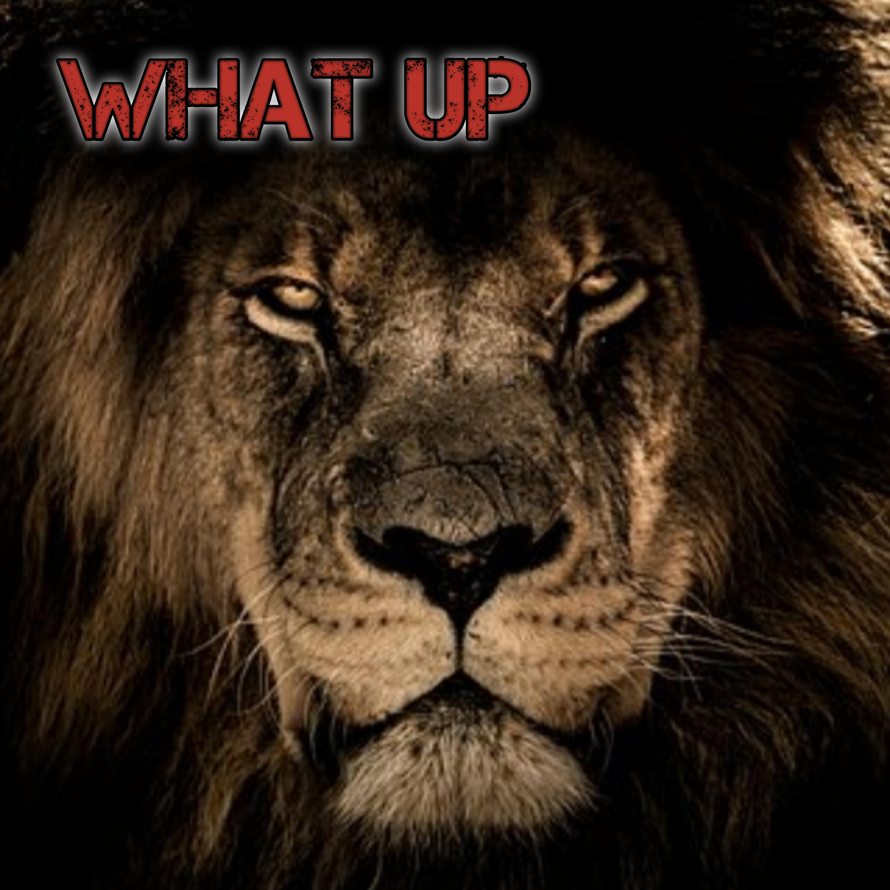Релиз What Up