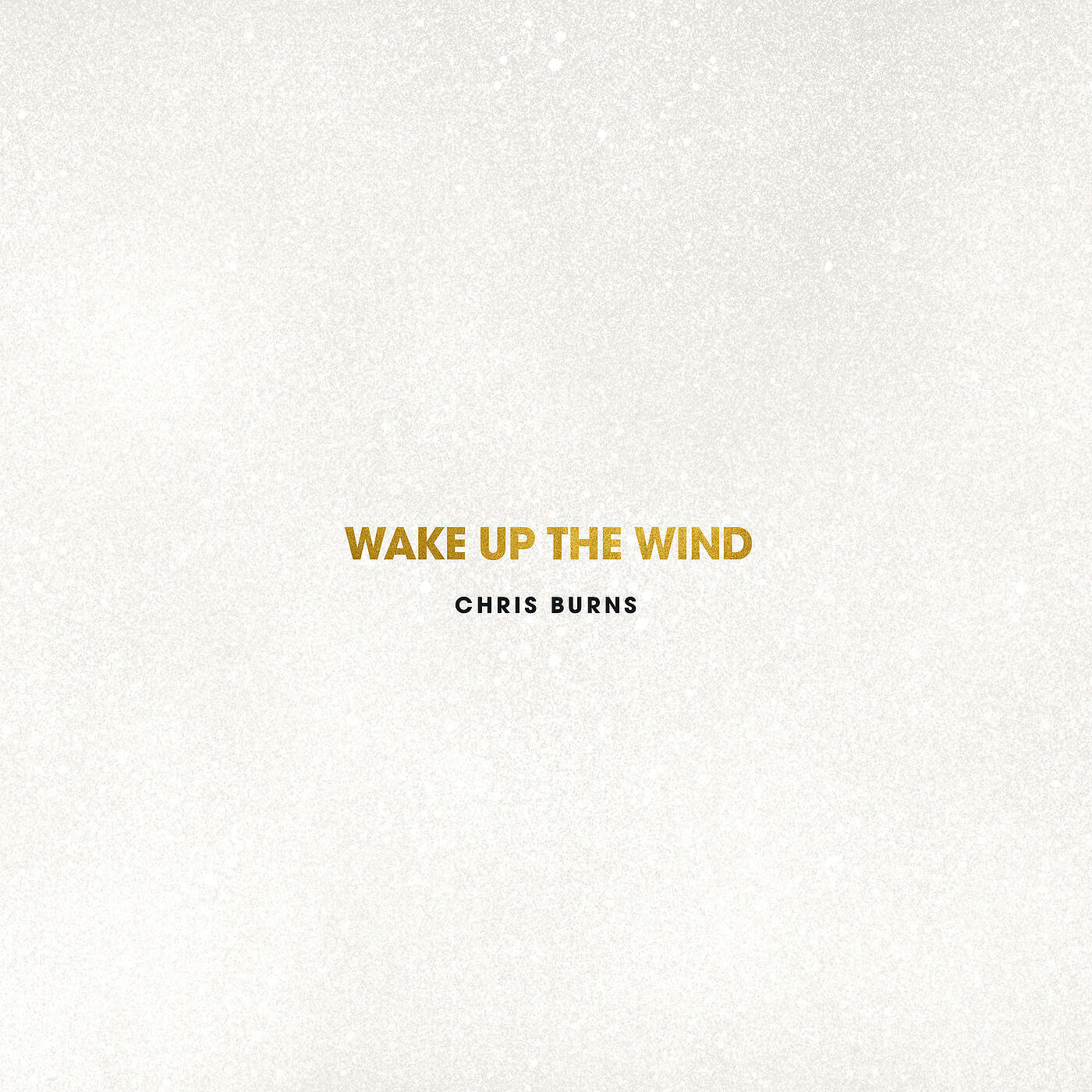 Релиз Wake up the Wind