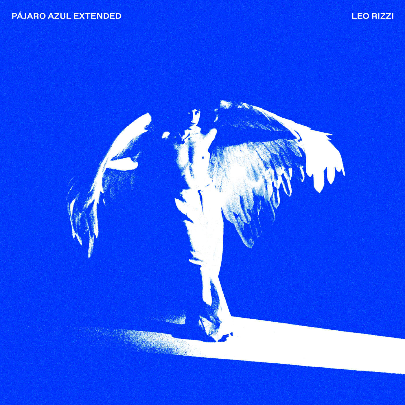 Релиз MALVAS (Live)