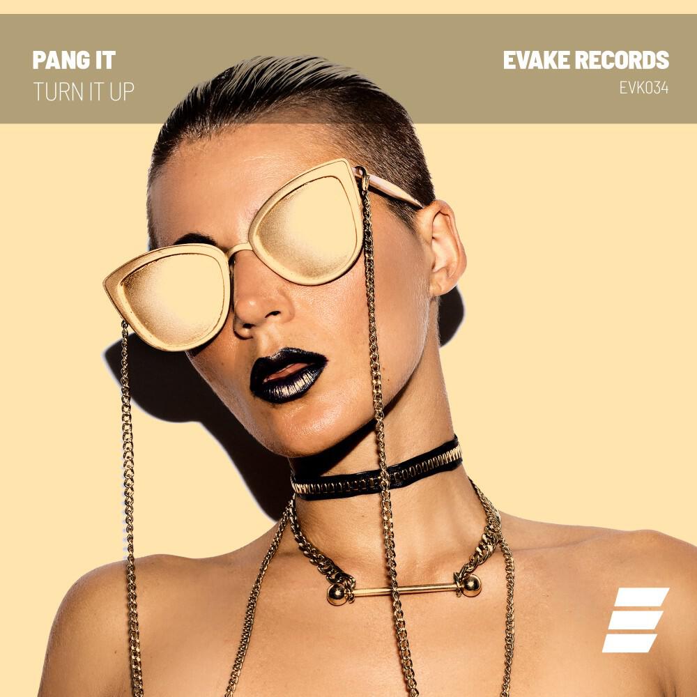 Релиз Turn It Up
