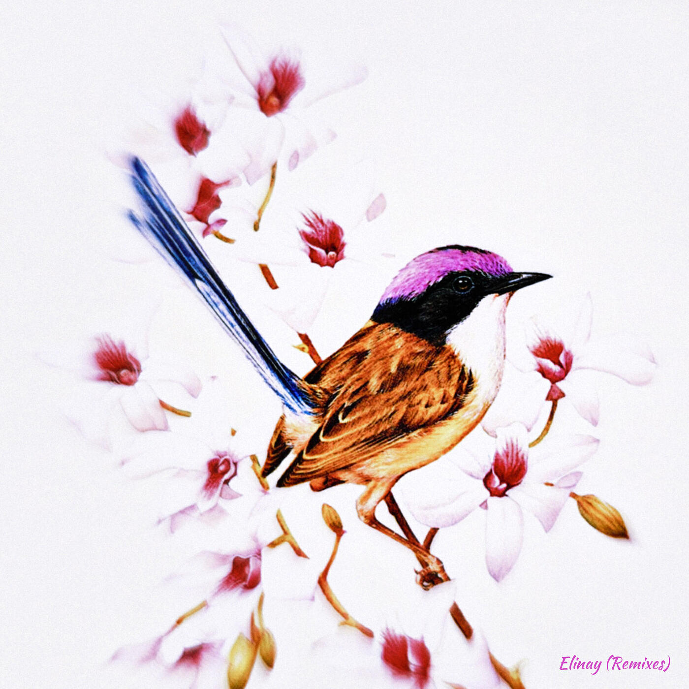 Релиз Dryad (Remixes)