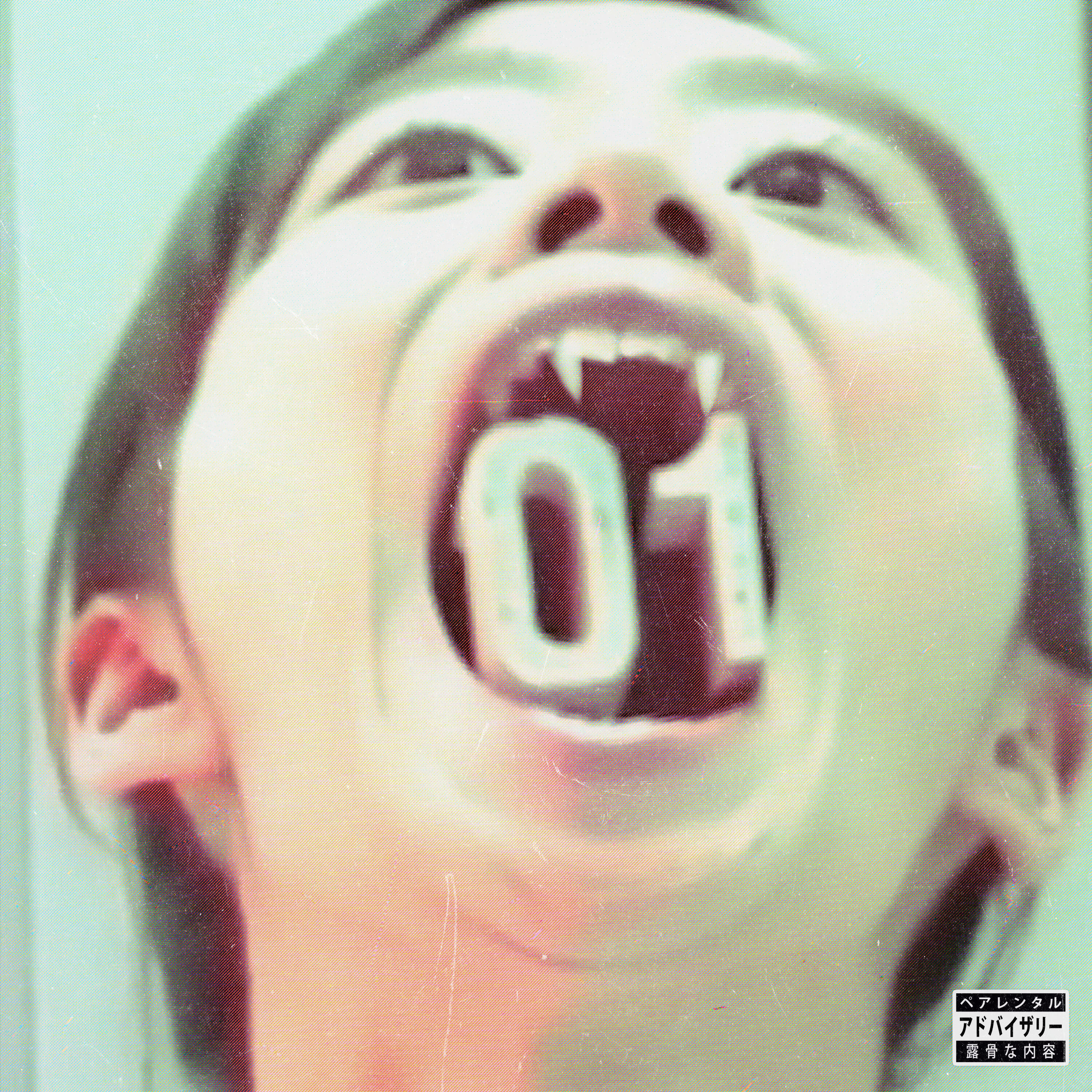 Релиз 01