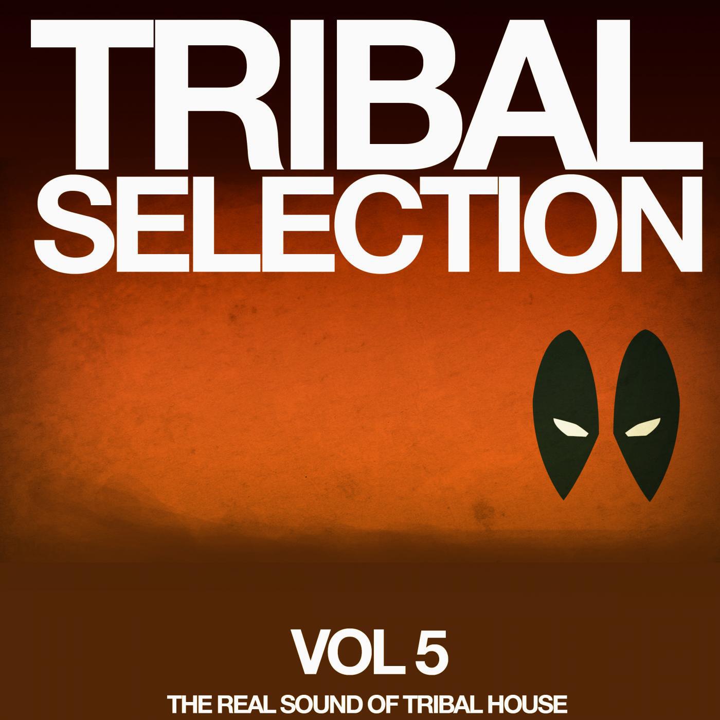 Релиз Tribal Selection, Vol. 5 (The Real Sound of Tribal House)