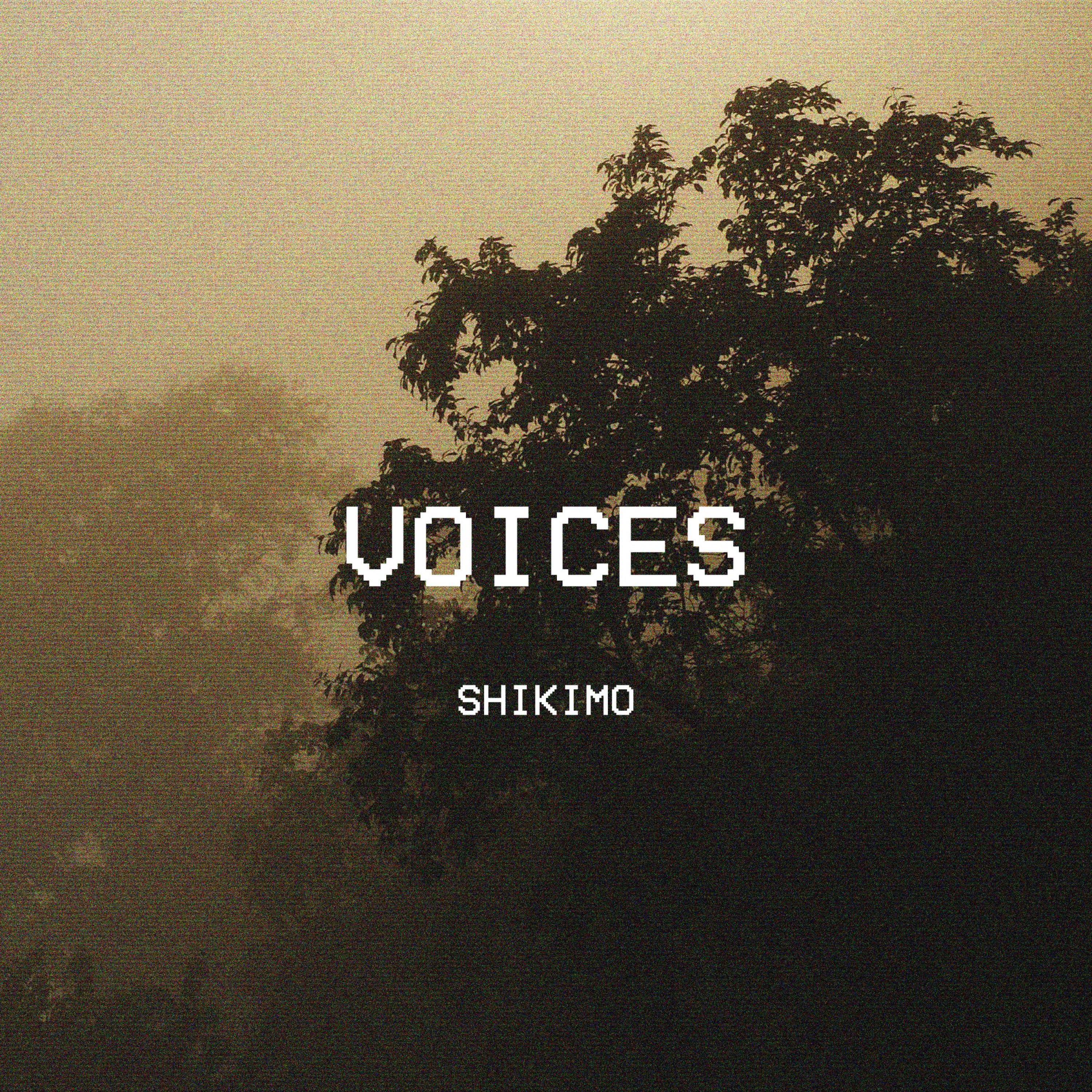 Релиз Voices