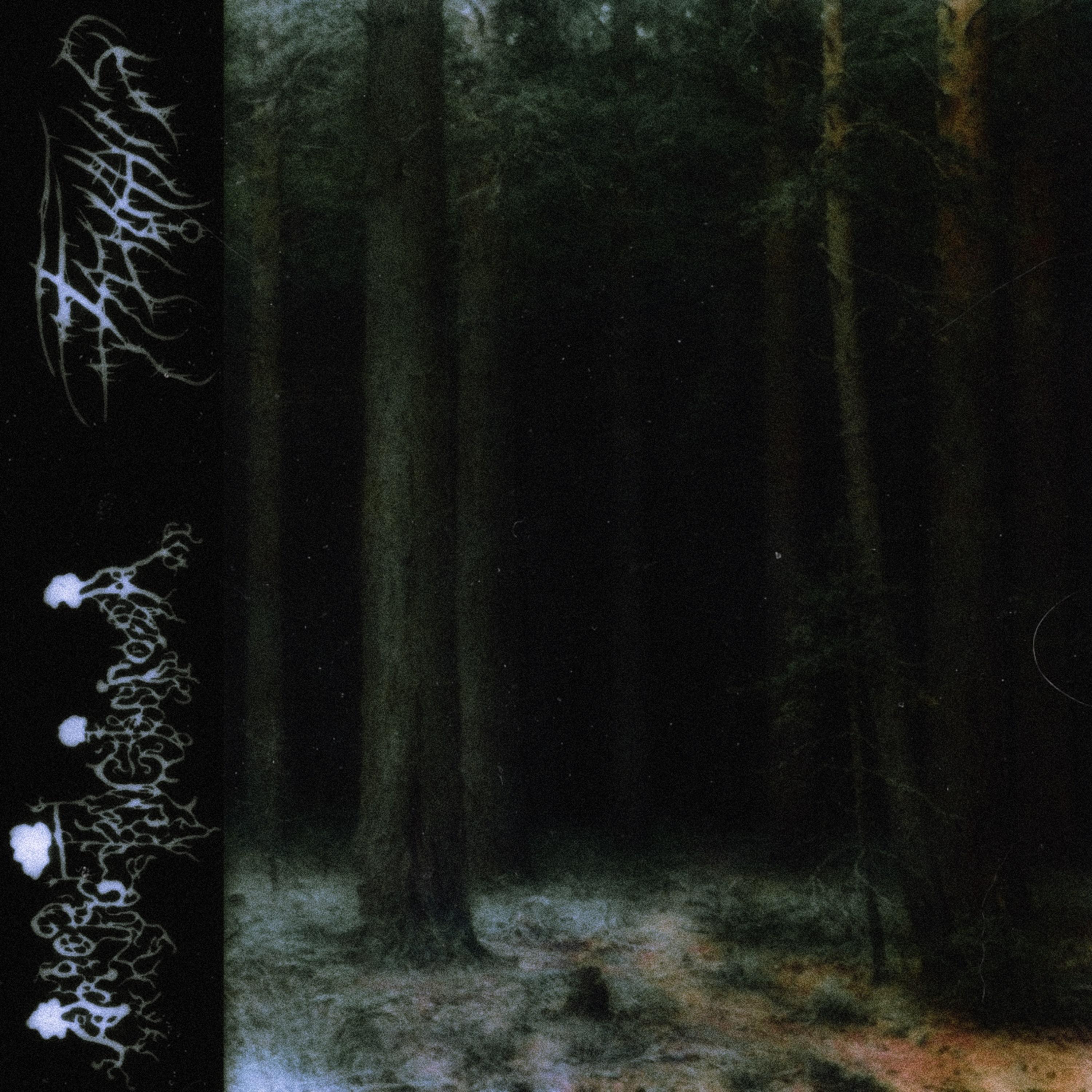 Релиз fäulnis / Arbor Tenebrosa