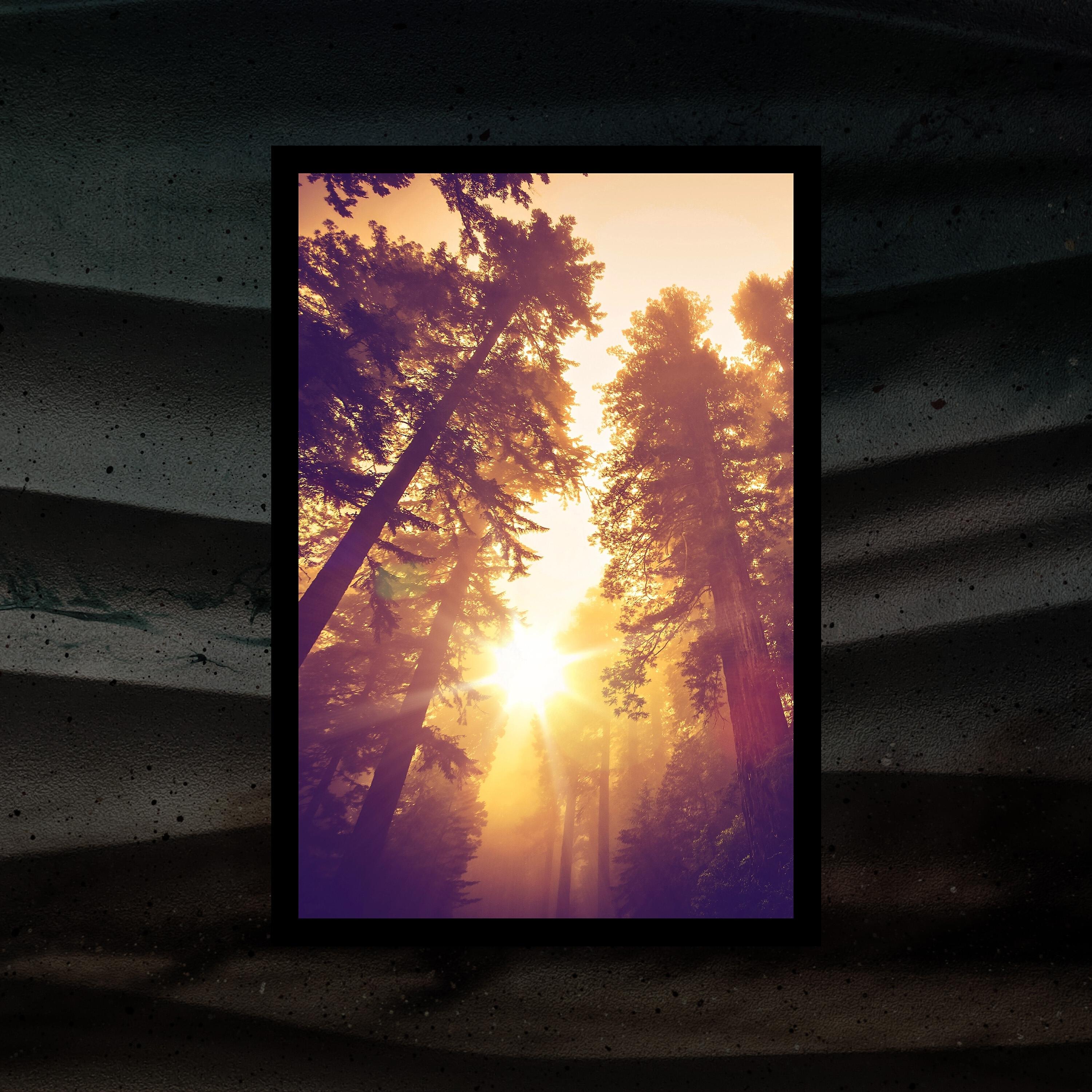 Релиз Forestlands