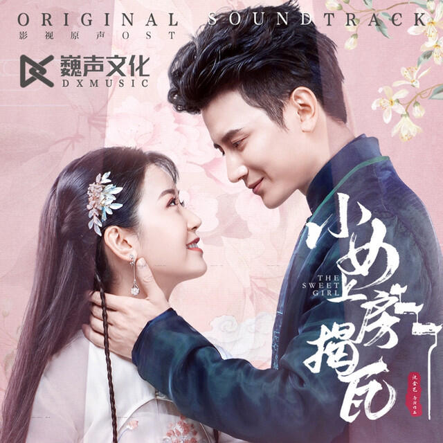 Релиз 小女上房揭瓦 (影视剧原声带)
