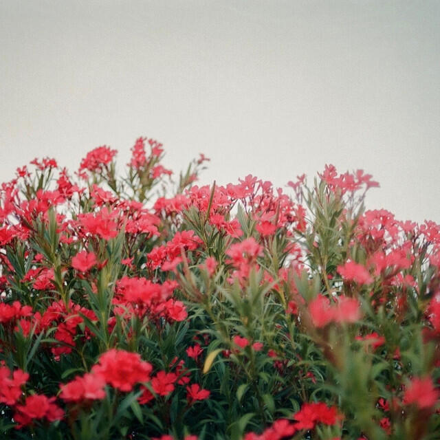 Трек Deepest Places (Reimagined)