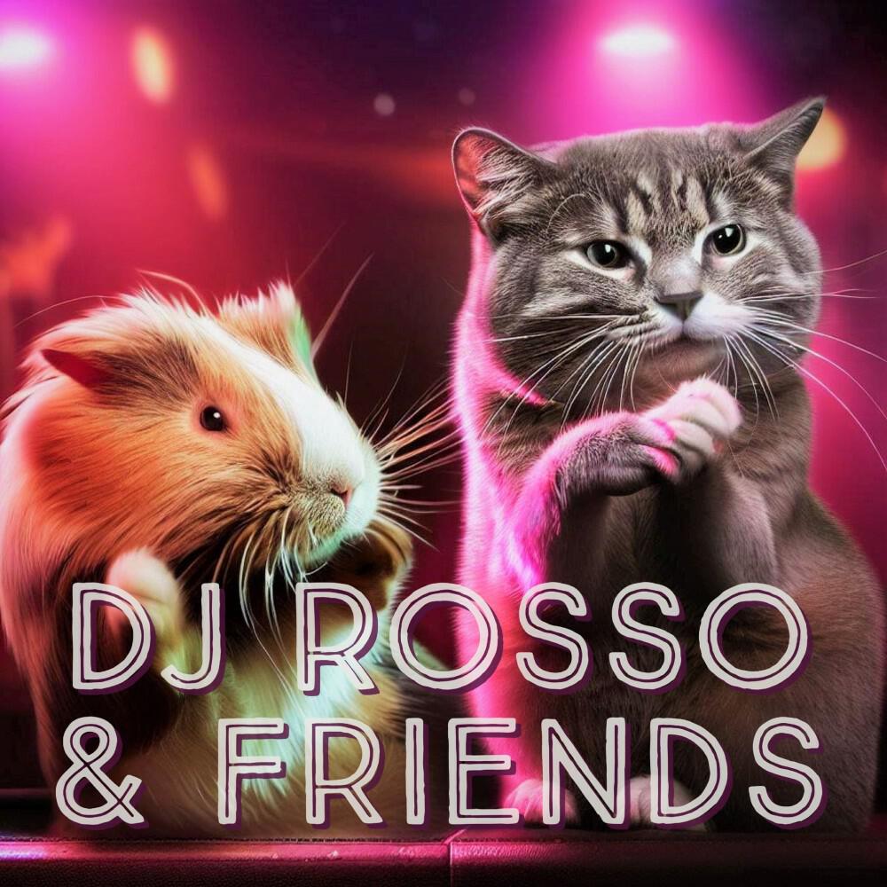Релиз DJ Rosso & Friends