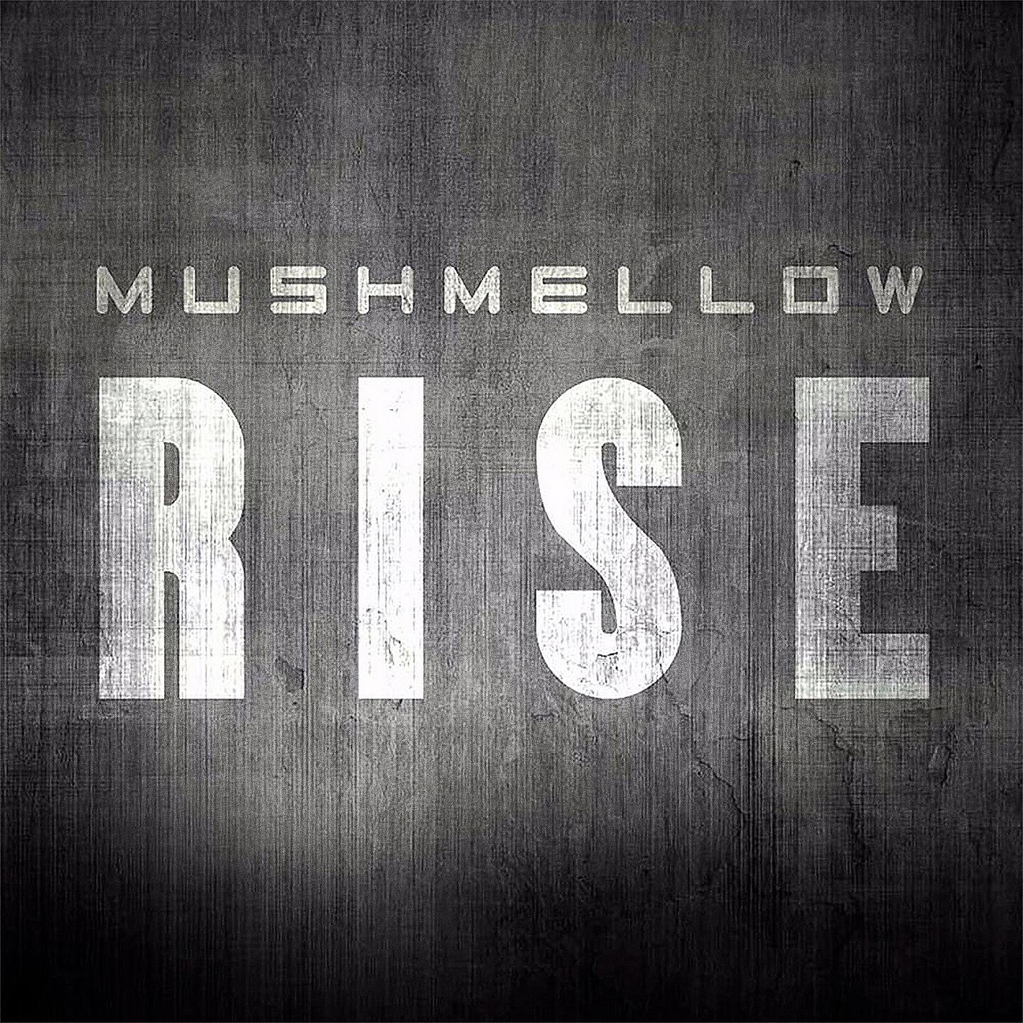 Постер альбома Rise