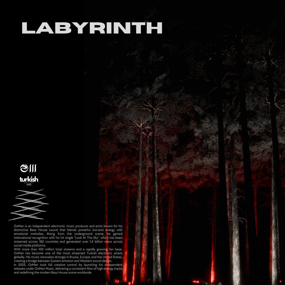 Релиз Labyrinth