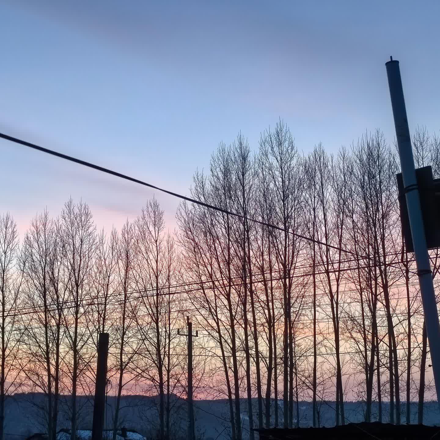 程培东