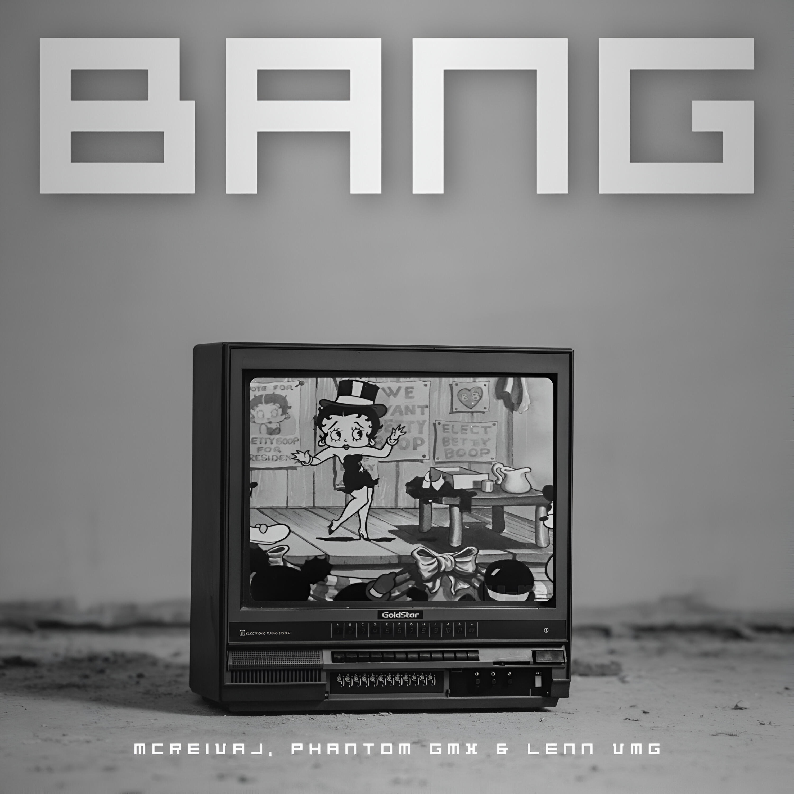 LeNN VMG