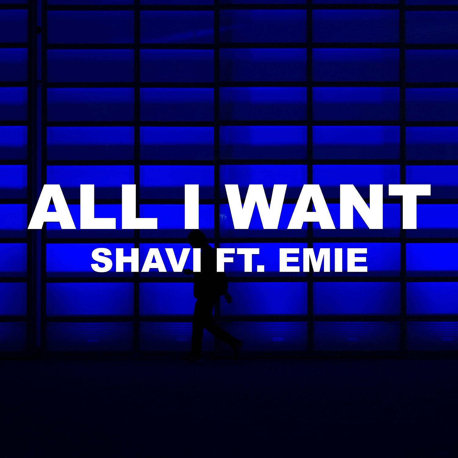 Shavi & Emie - All I Want (feat. Emie)