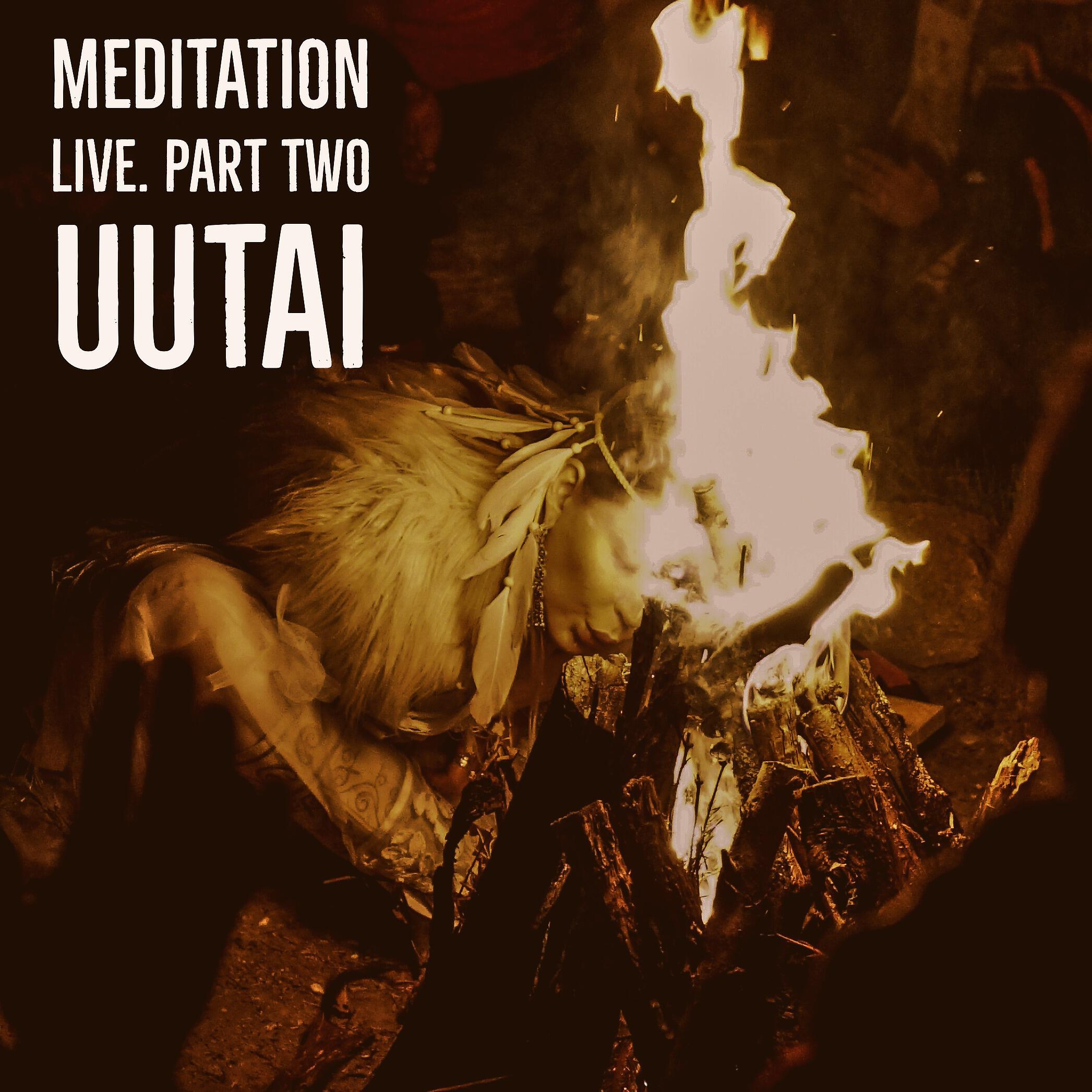 Релиз Meditation. Live. Part Two