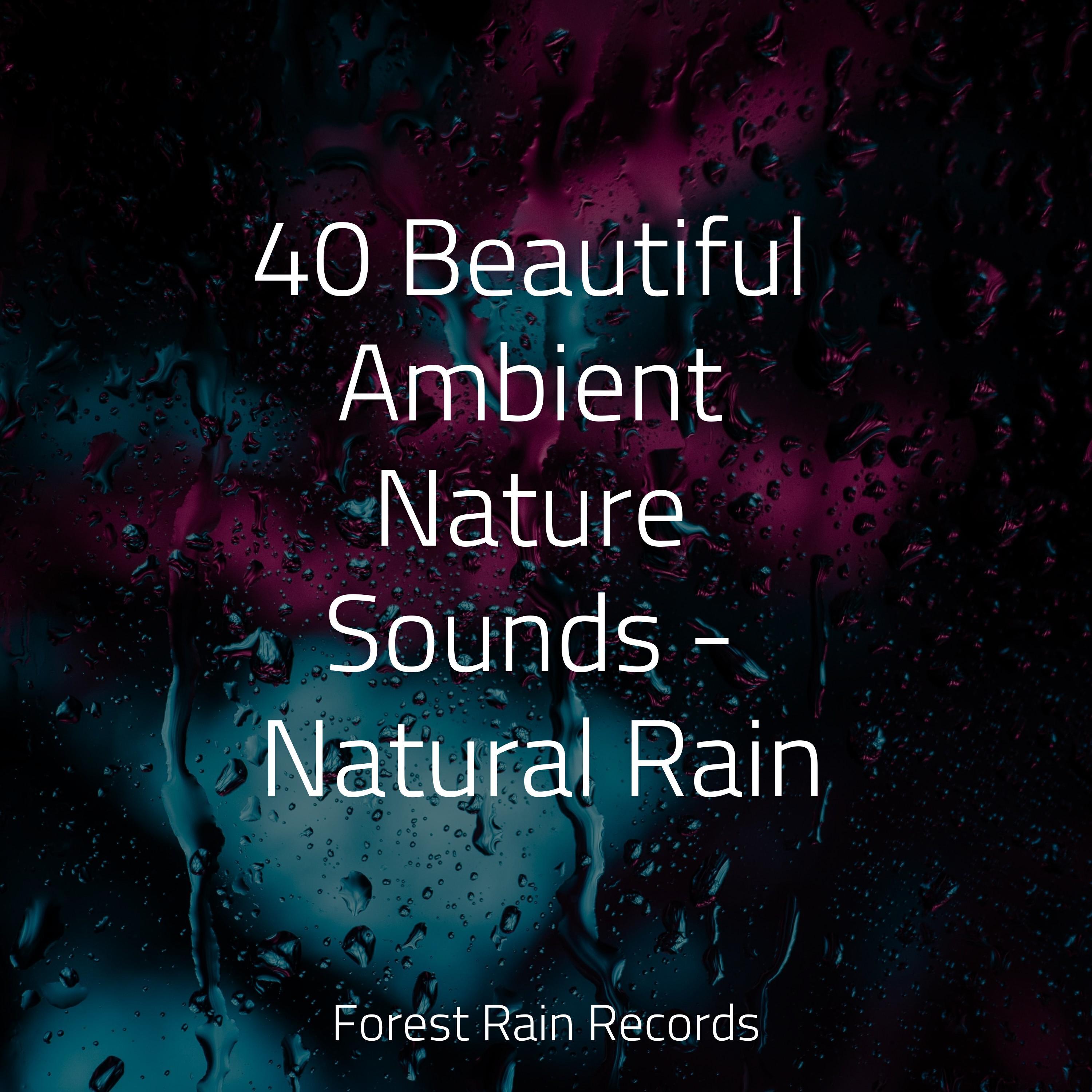 Релиз 40 Beautiful Ambient Nature Sounds - Natural Rain