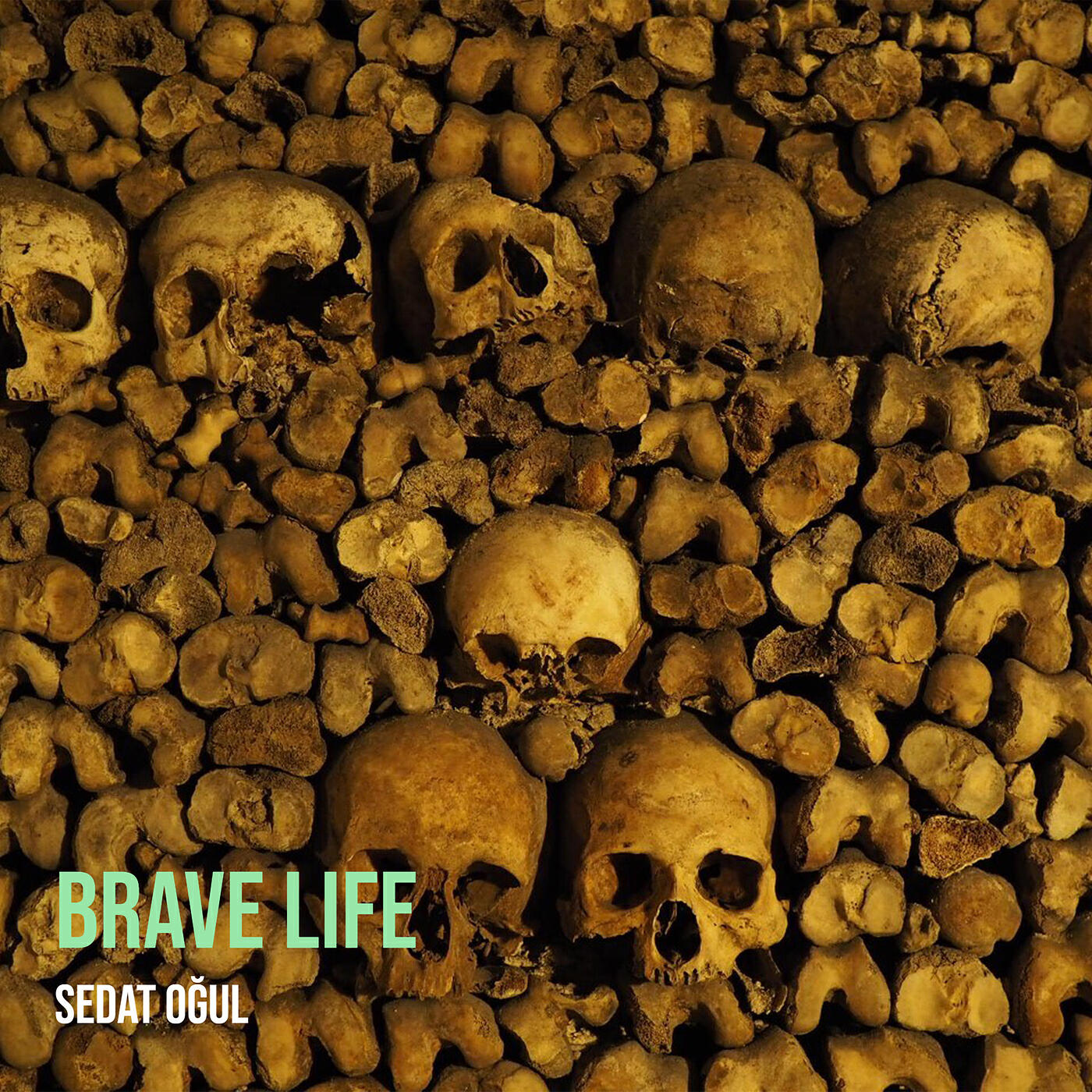 Релиз Brave Life