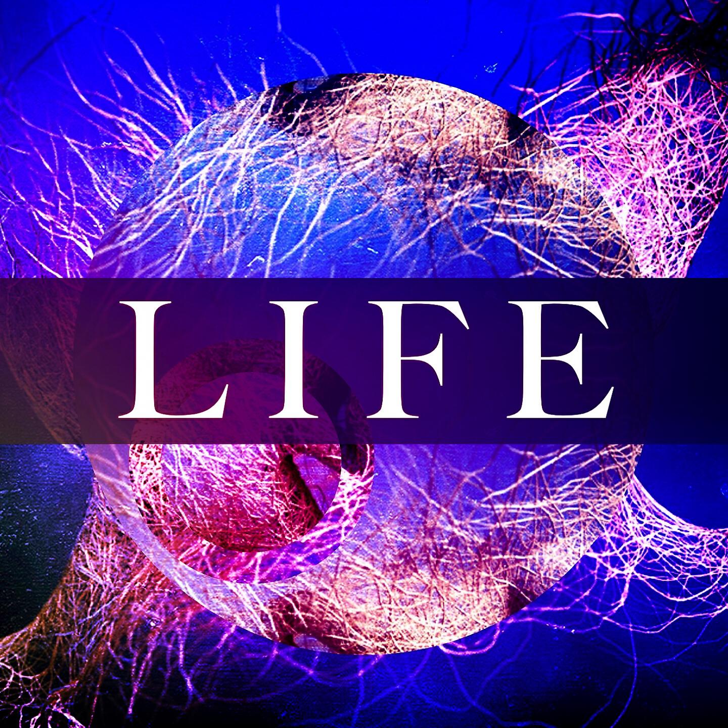 Релиз Life