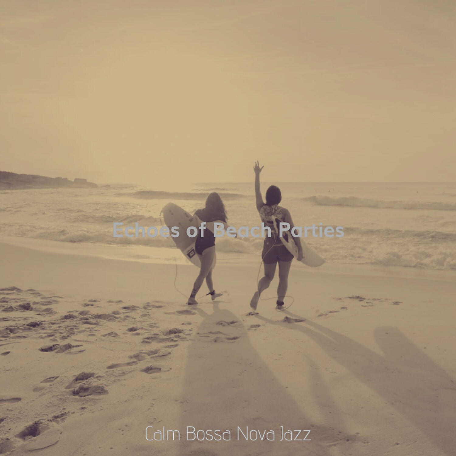 Релиз Echoes of Beach Parties