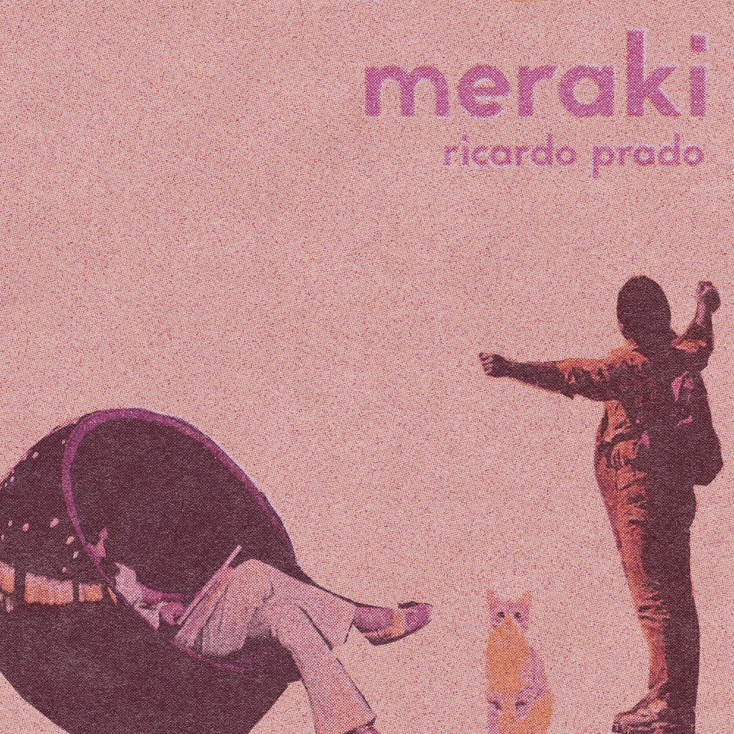 Релиз Meraki