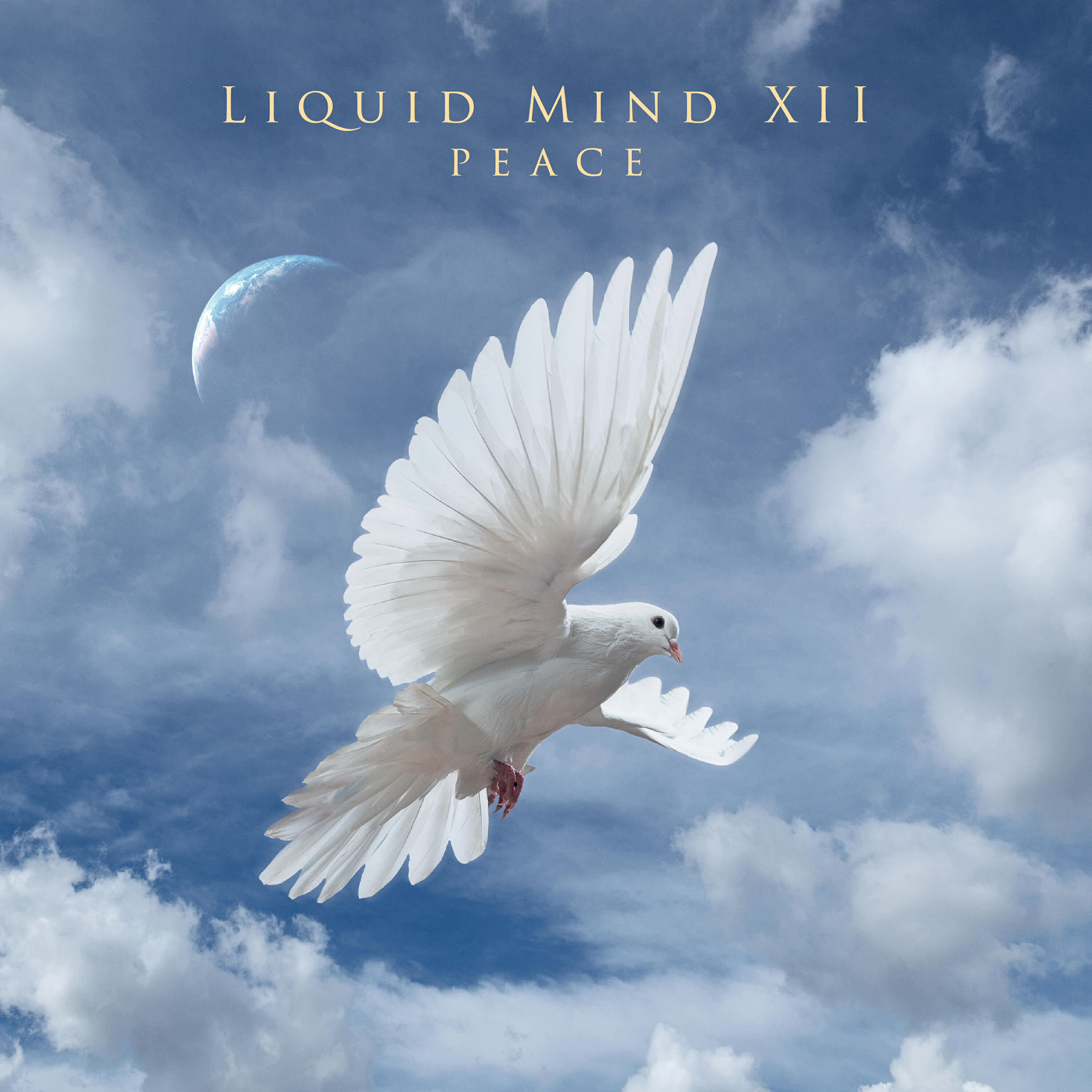 Релиз Shared Values Radio Edit