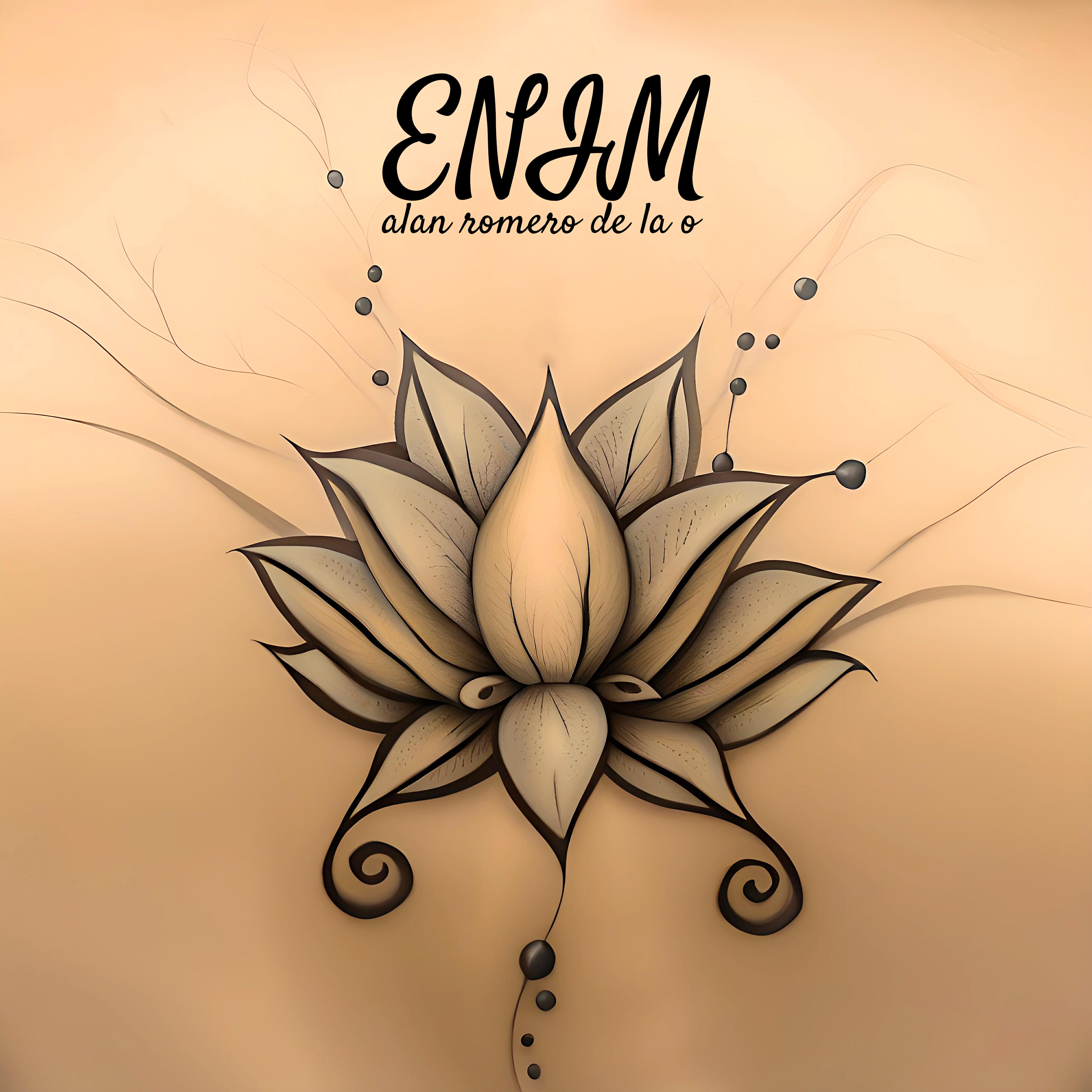 Релиз Enim