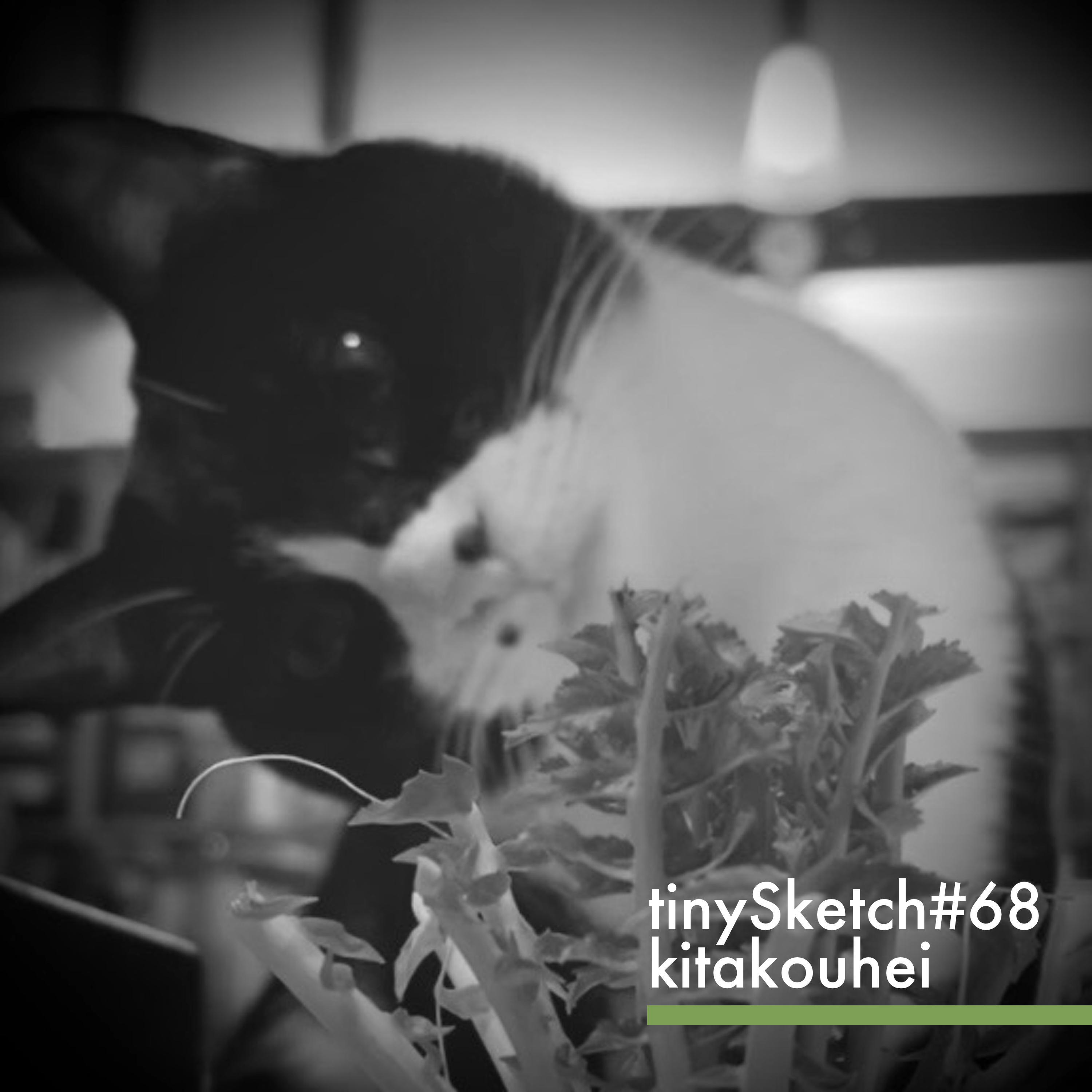 Релиз tinySketch #68