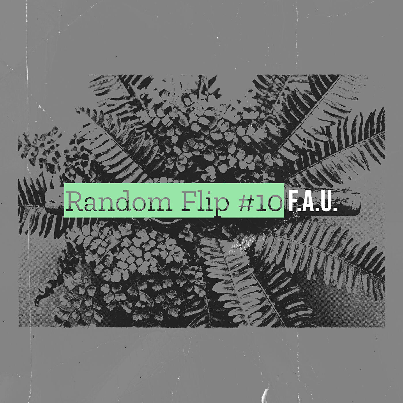 Релиз Random Flip #10