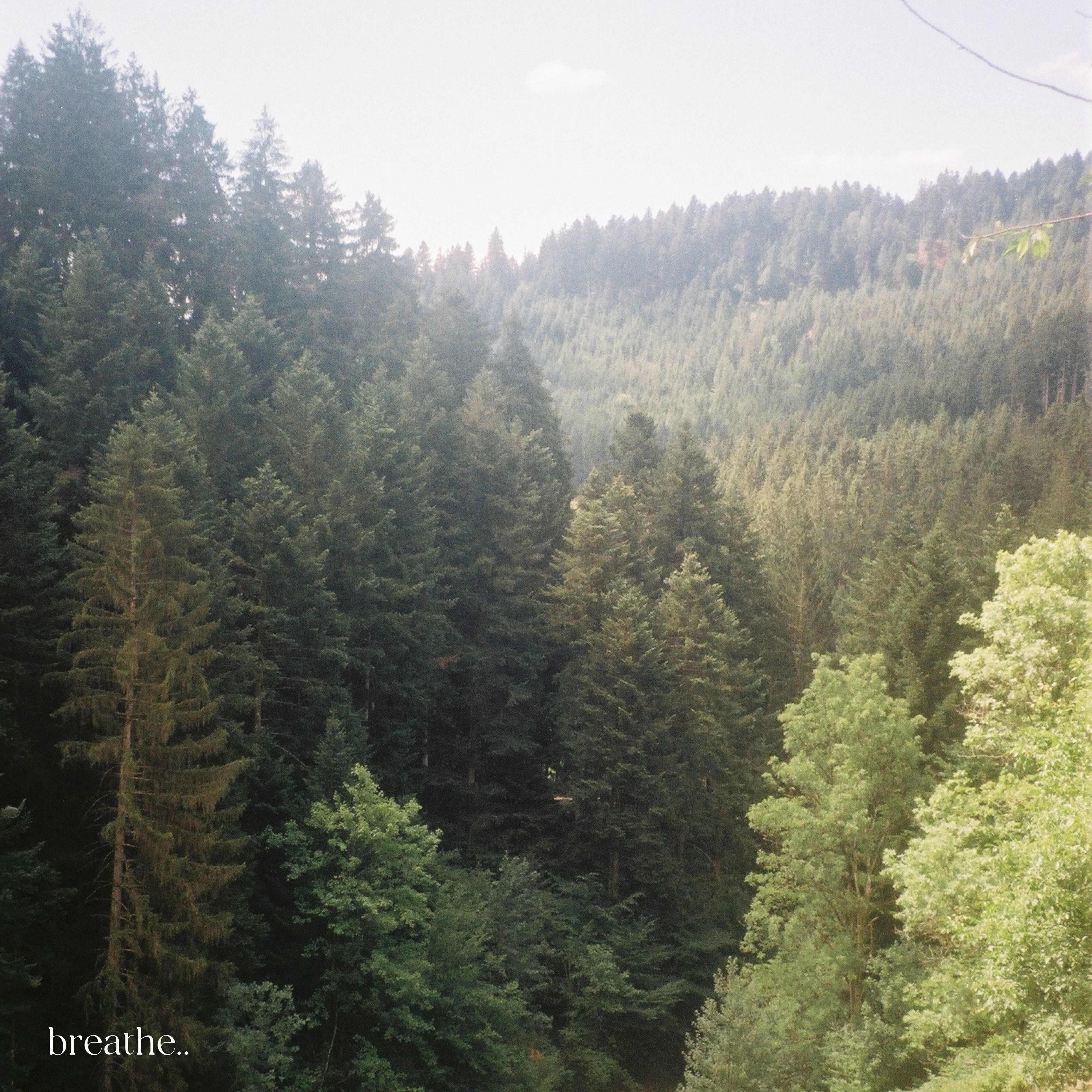 Релиз breathe..
