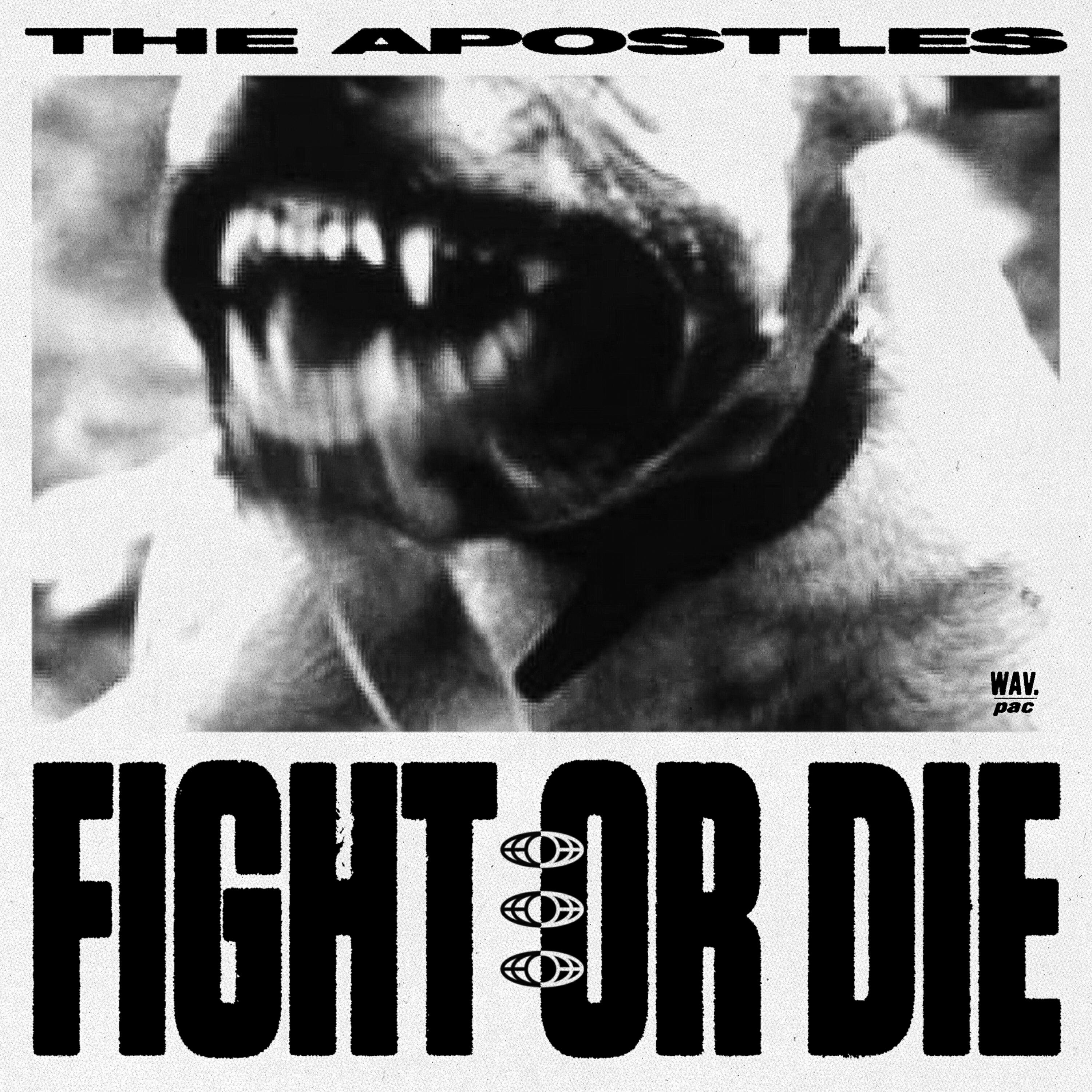 Релиз Fight or Die