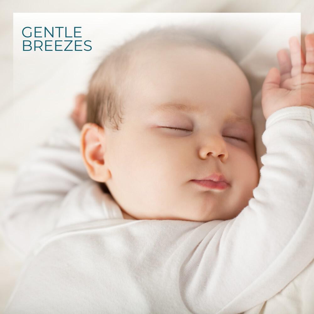 Релиз Gentle Breezes