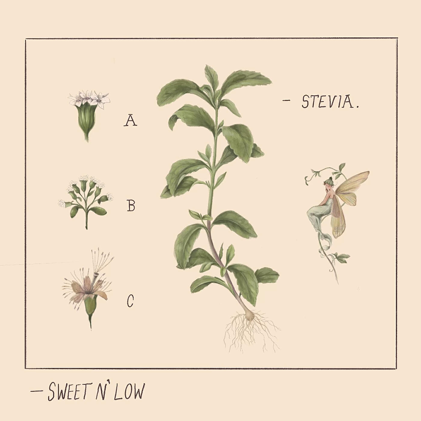 Релиз Sweet n' Low