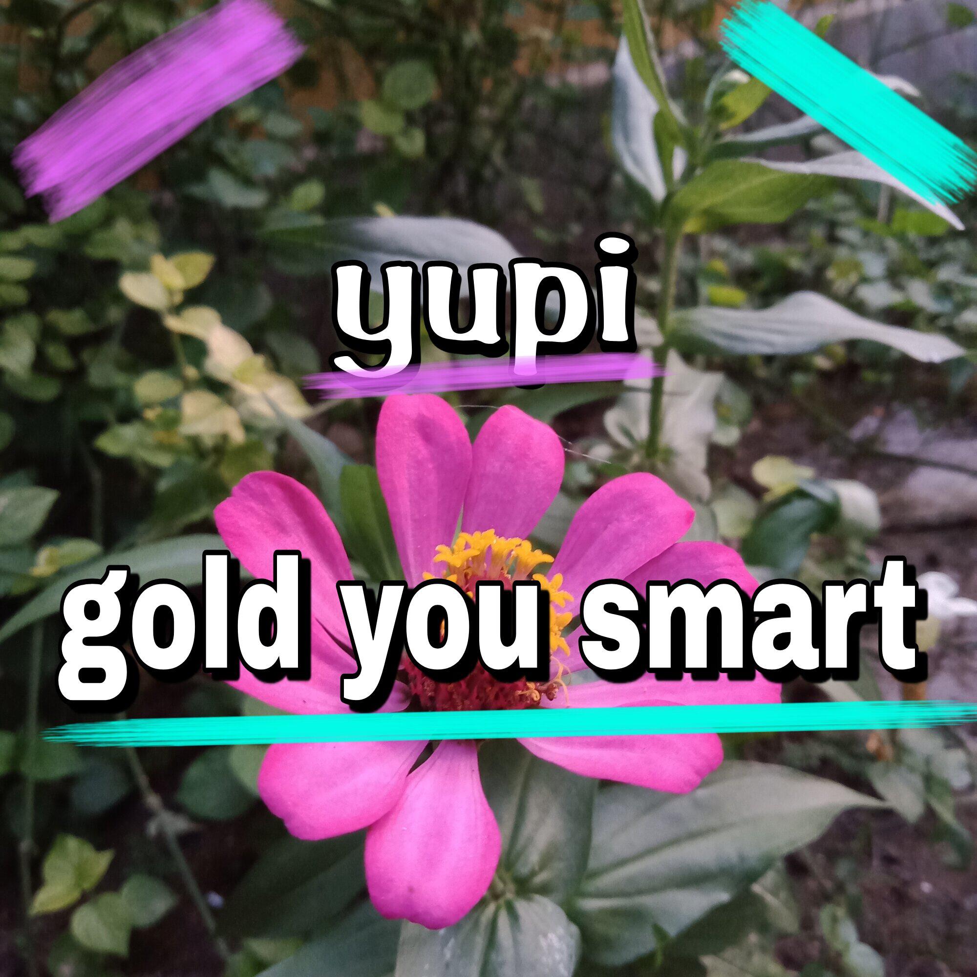 Постер альбома gold you smart