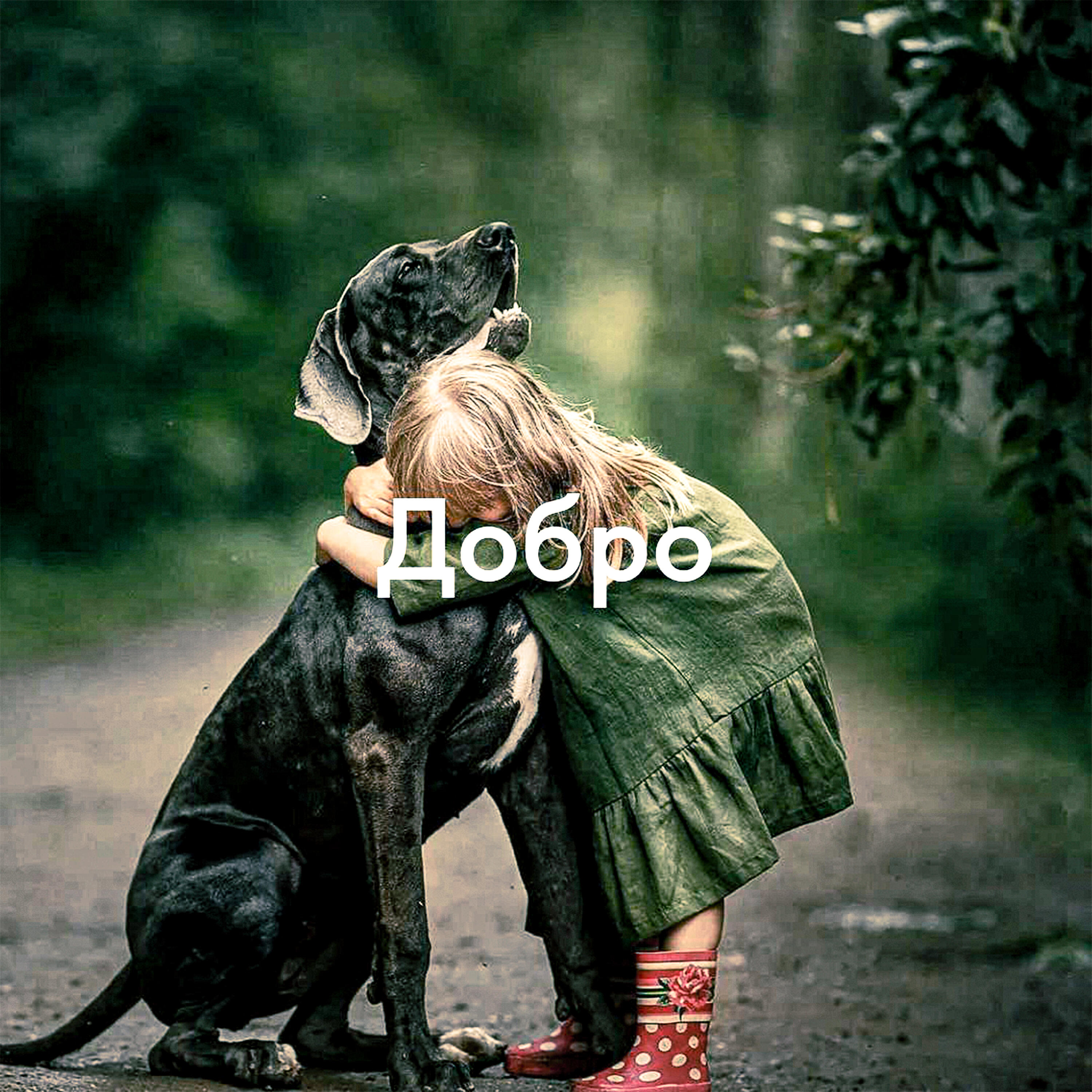 Постер альбома Добро