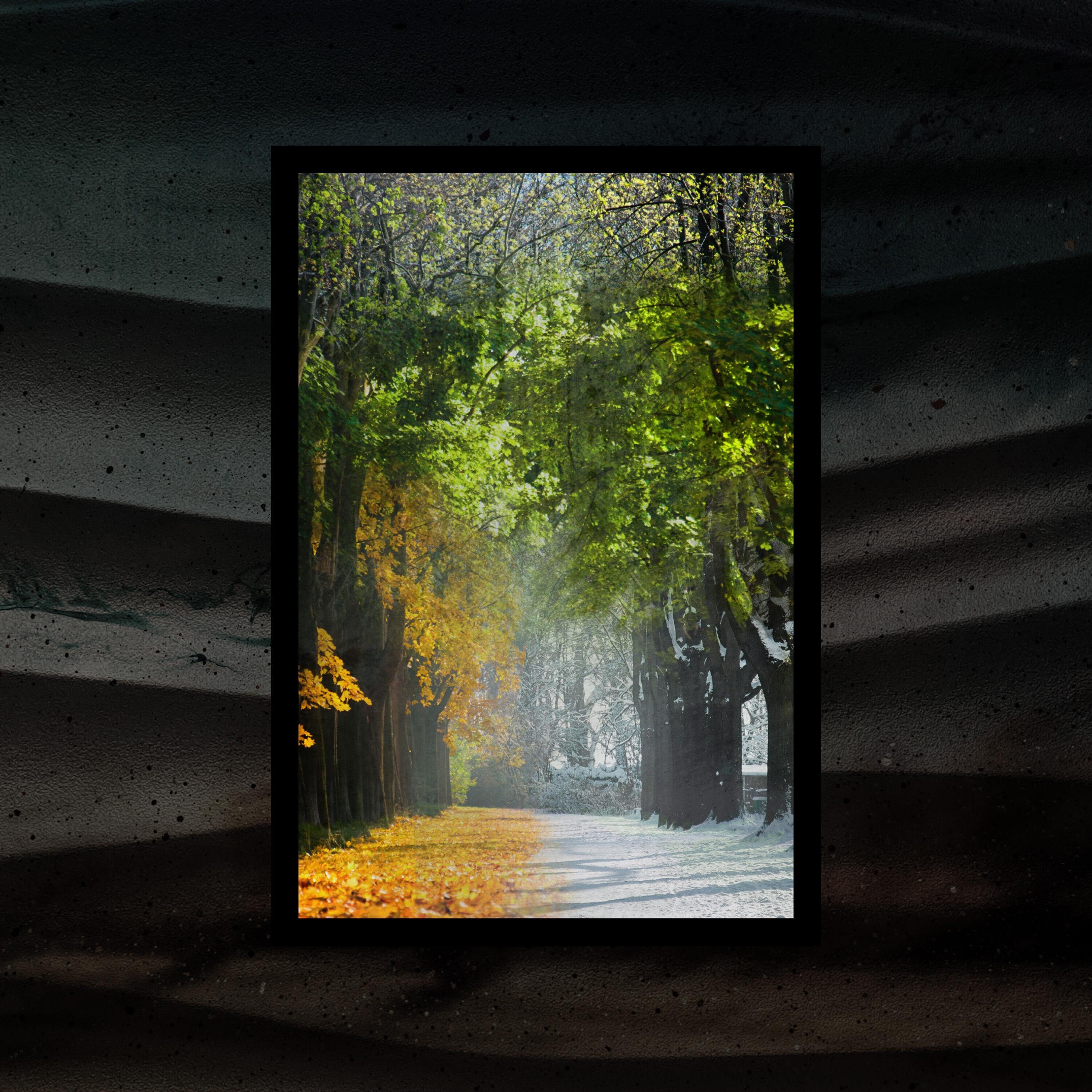 Релиз Four Seasons