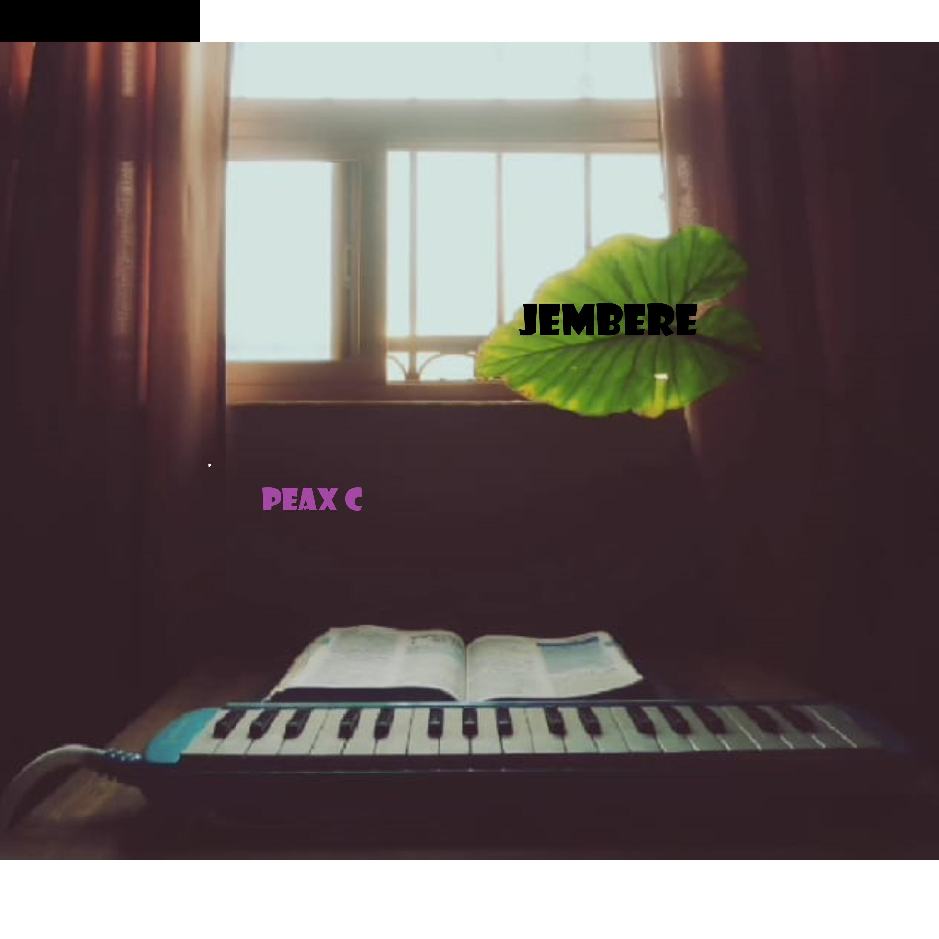 Релиз Jembere
