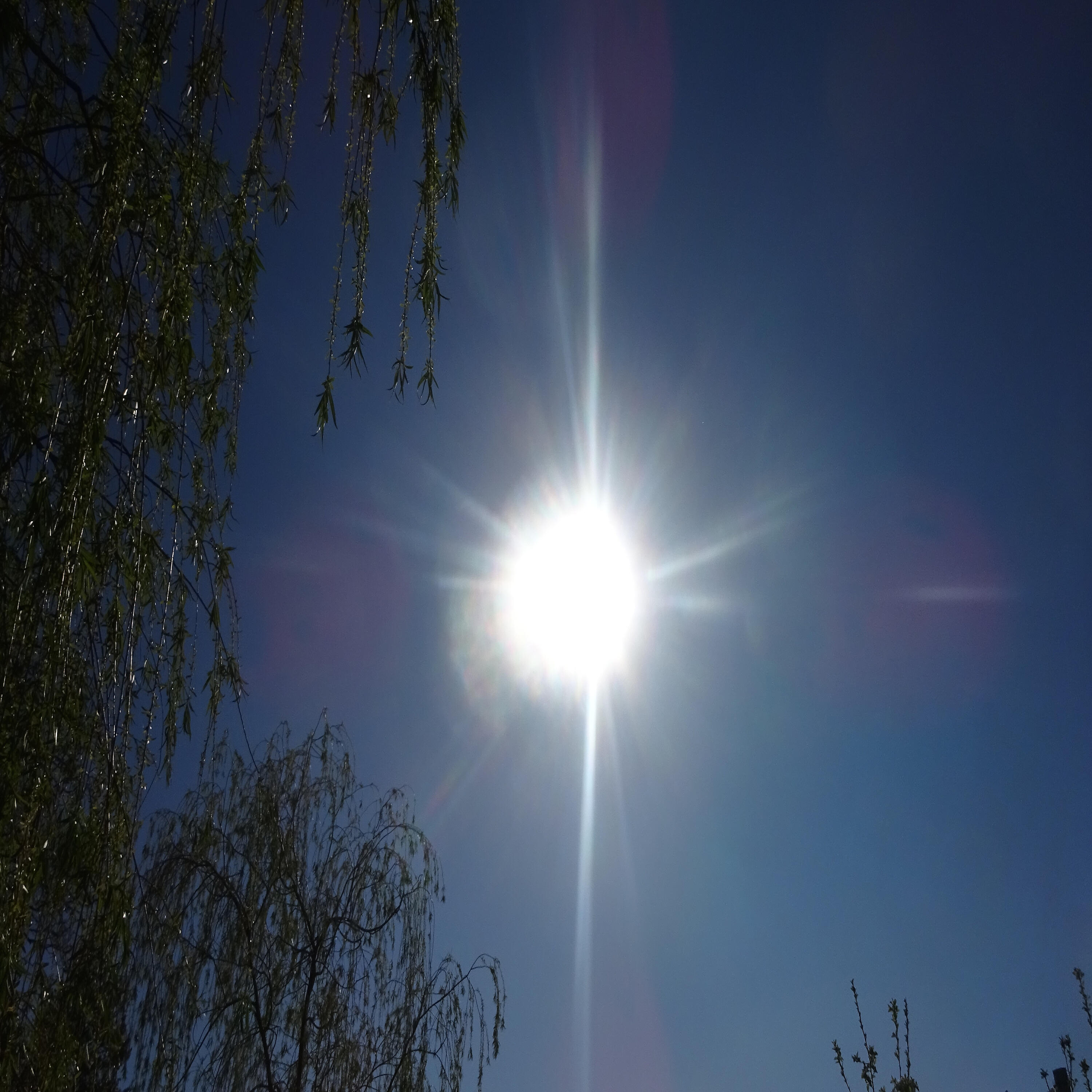 Релиз Lets Go into the Sunshine