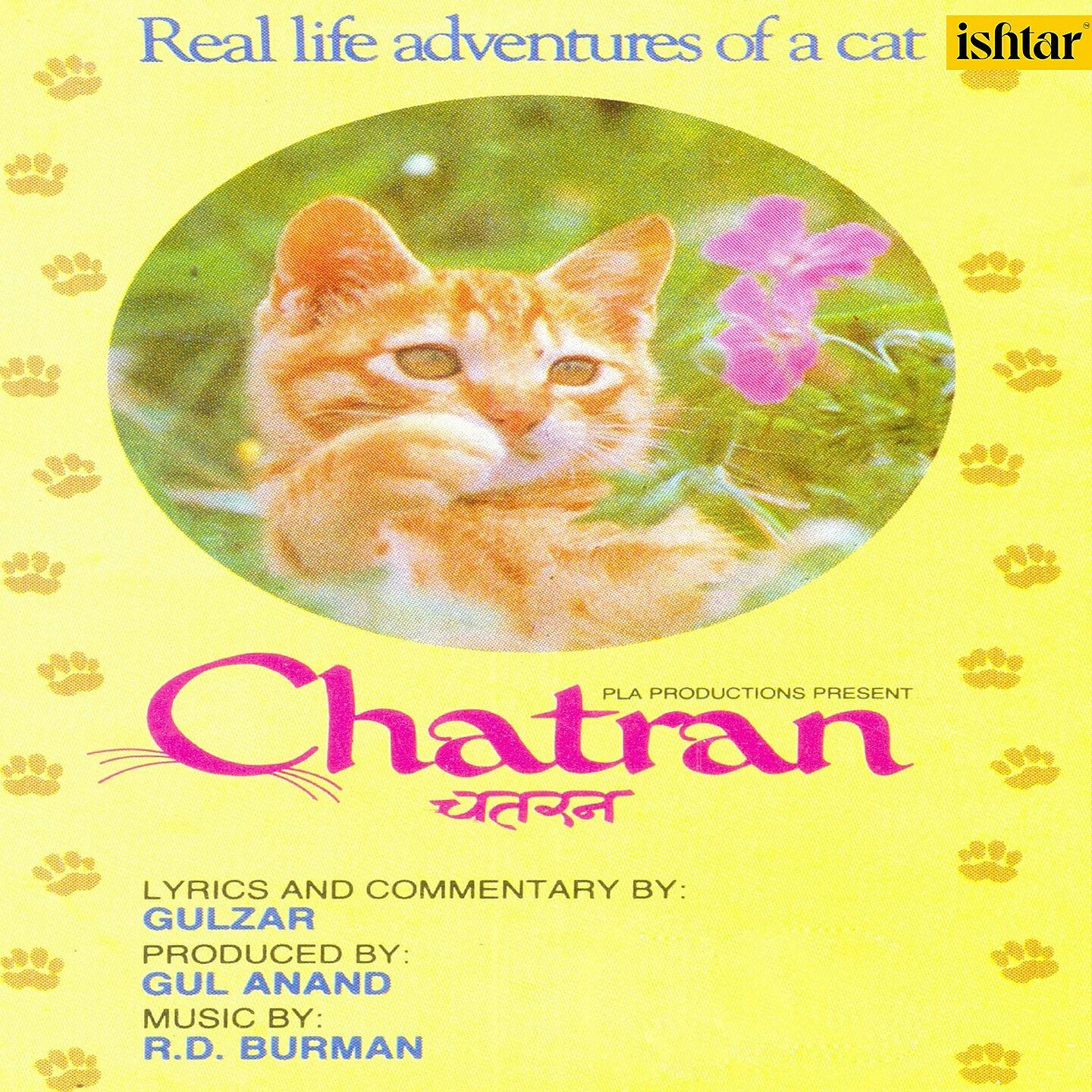 Релиз Chatran