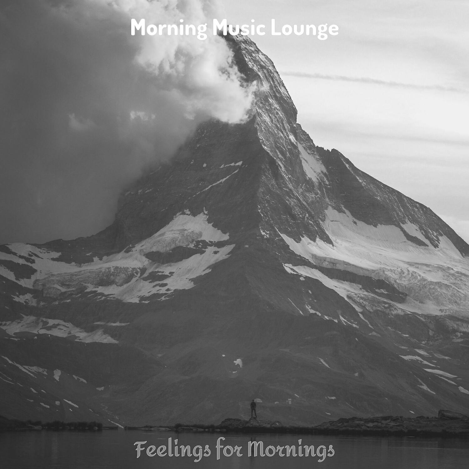 Релиз Feelings for Mornings