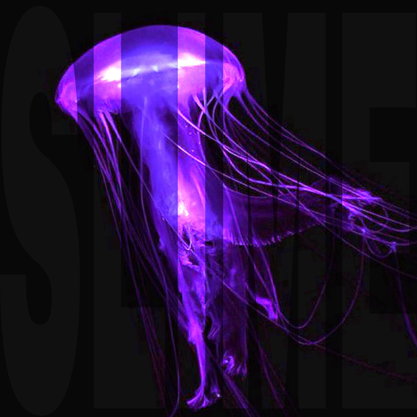 Релиз Slime