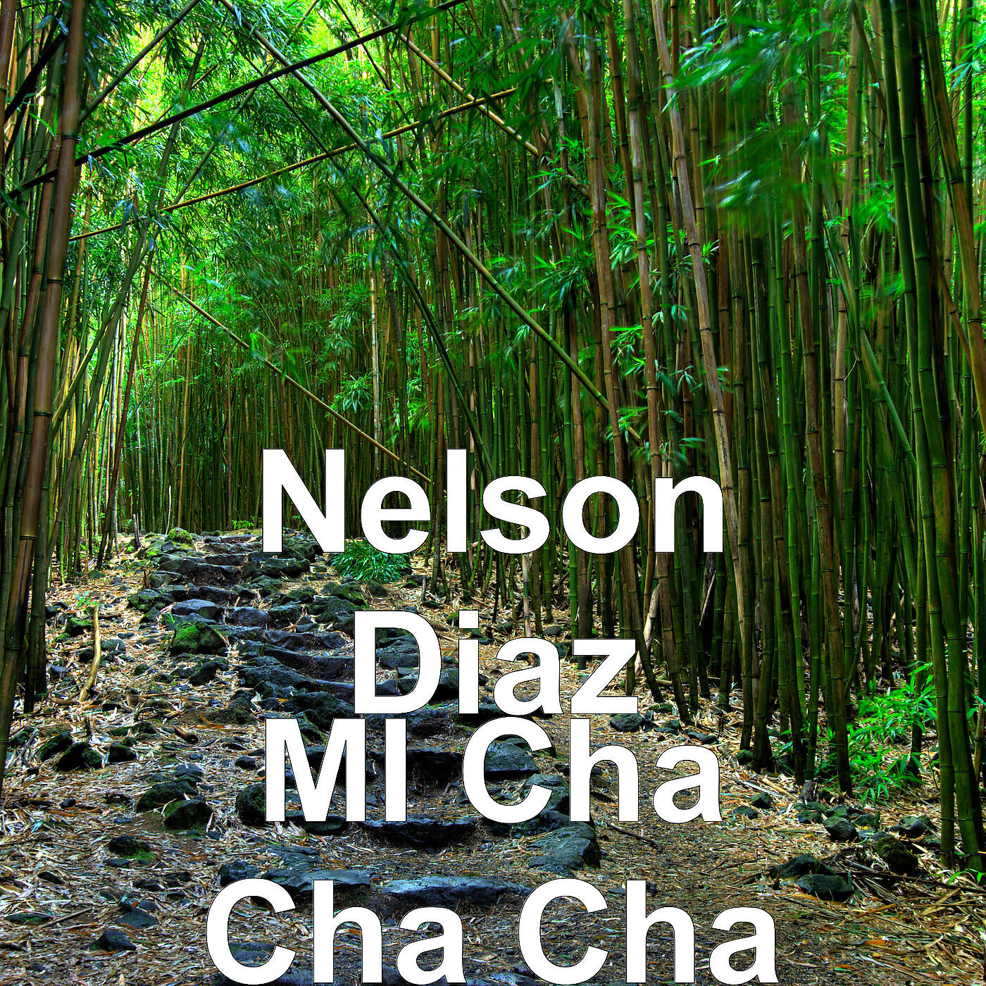 Релиз MI Cha Cha Cha