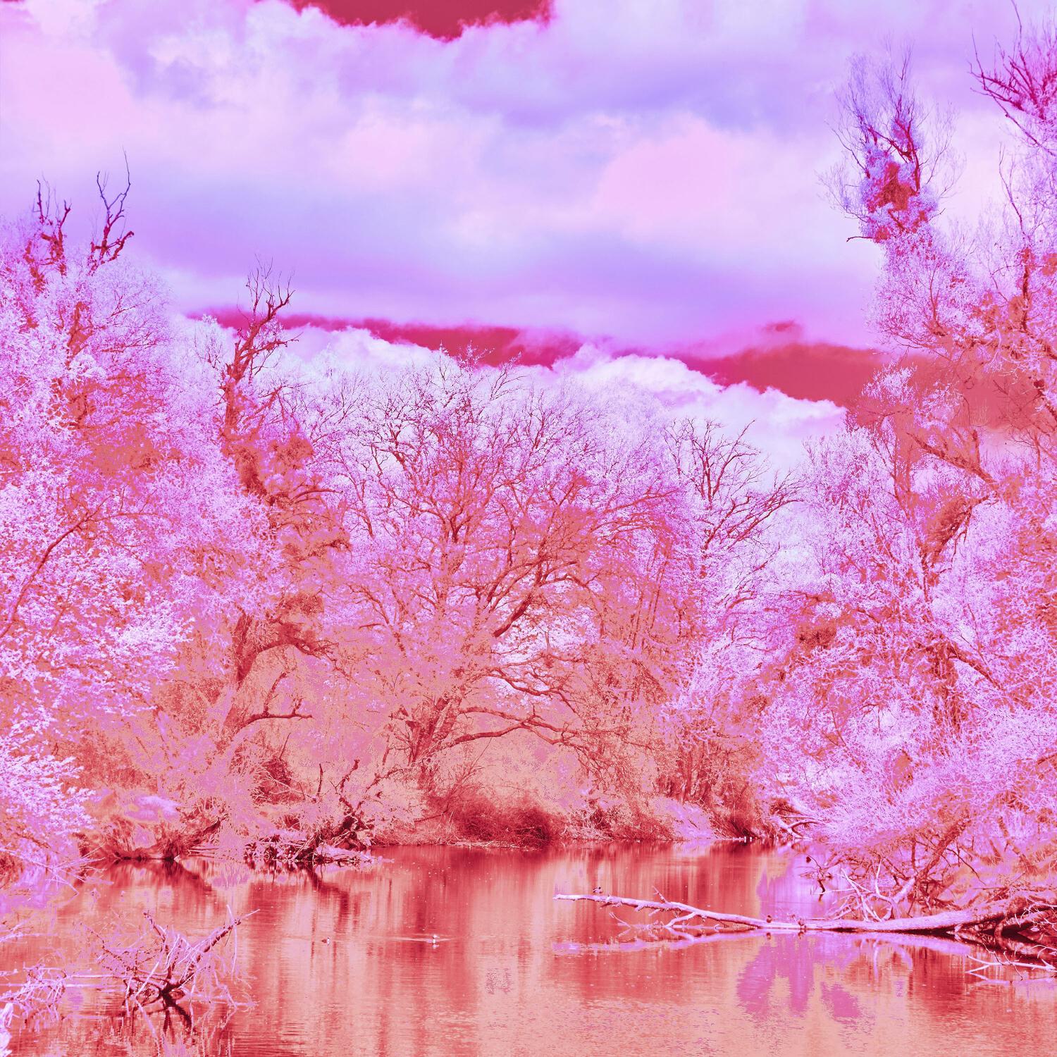 Релиз blossom
