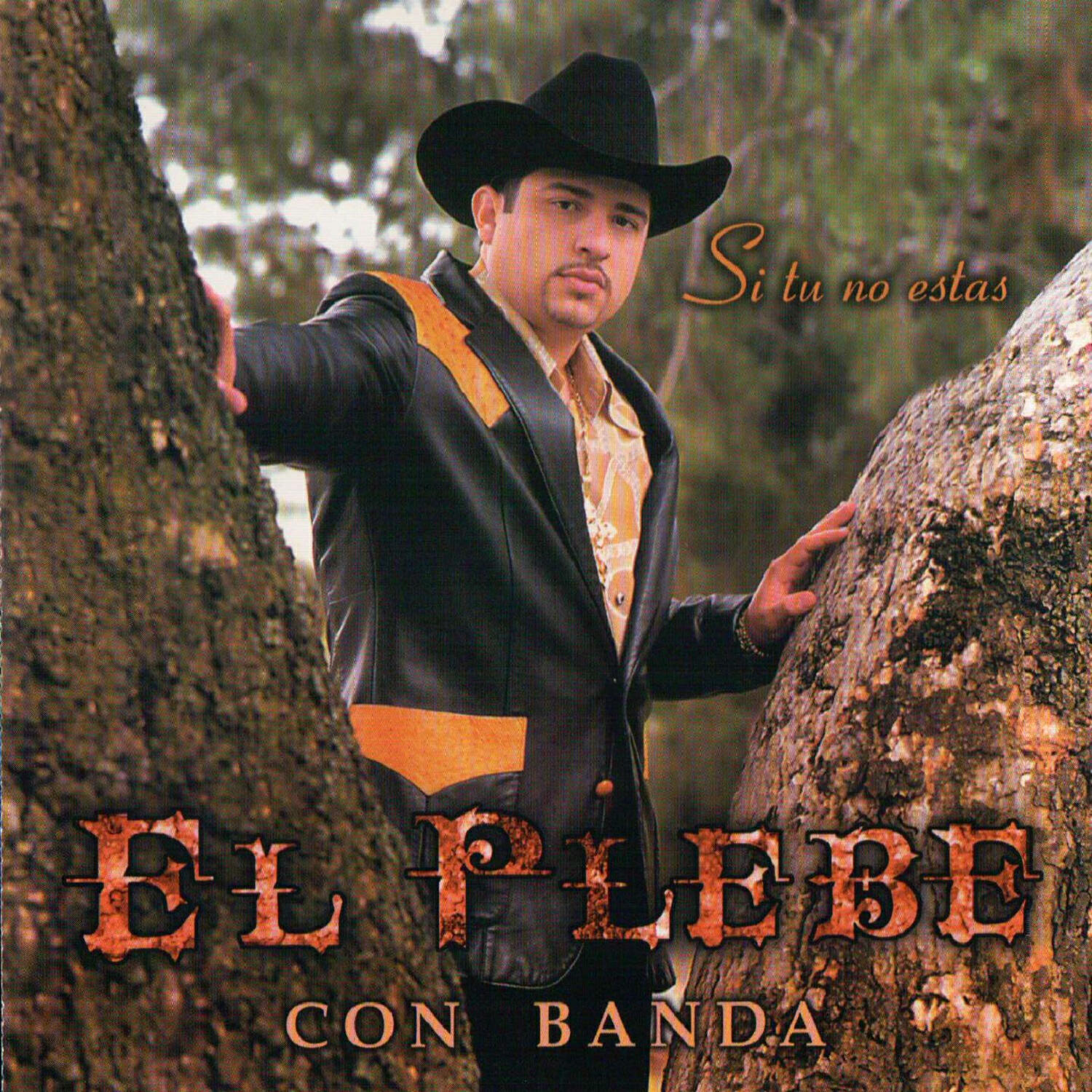 Релиз Si Tu No Estas