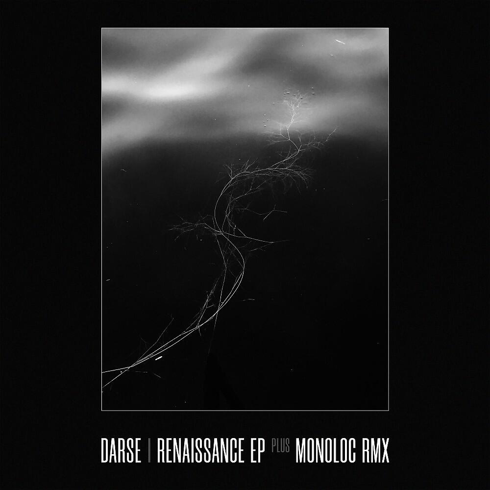 Релиз Renaissance