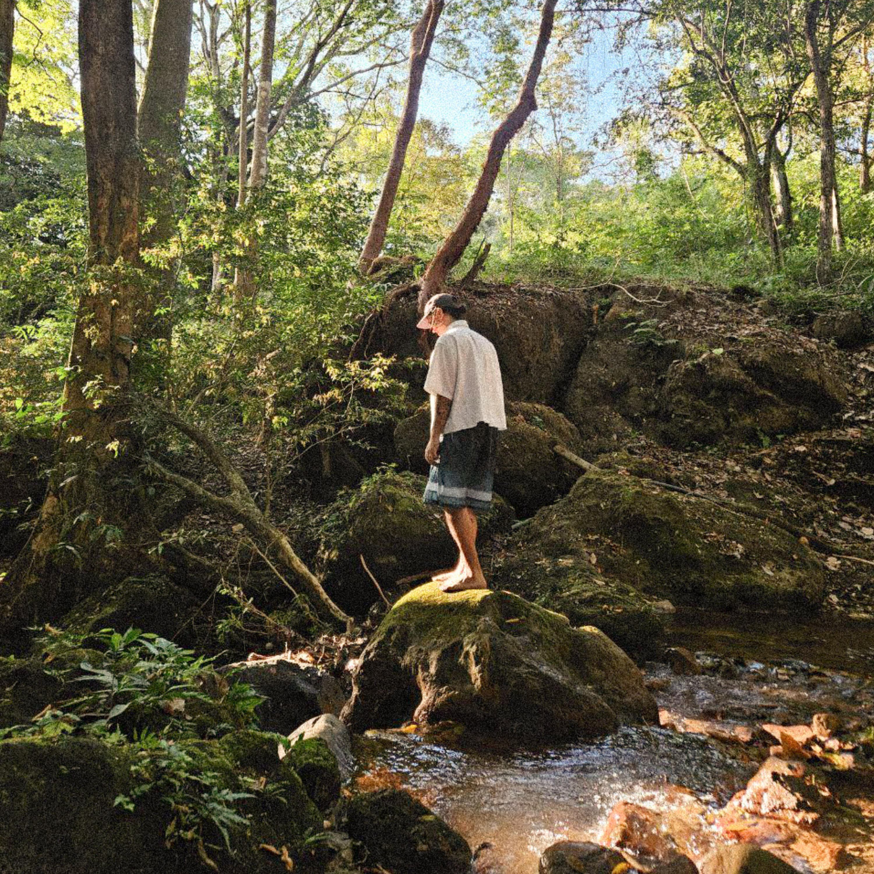 Релиз El Laboratorio Alquímico de la Naturaleza (Beat Tape)