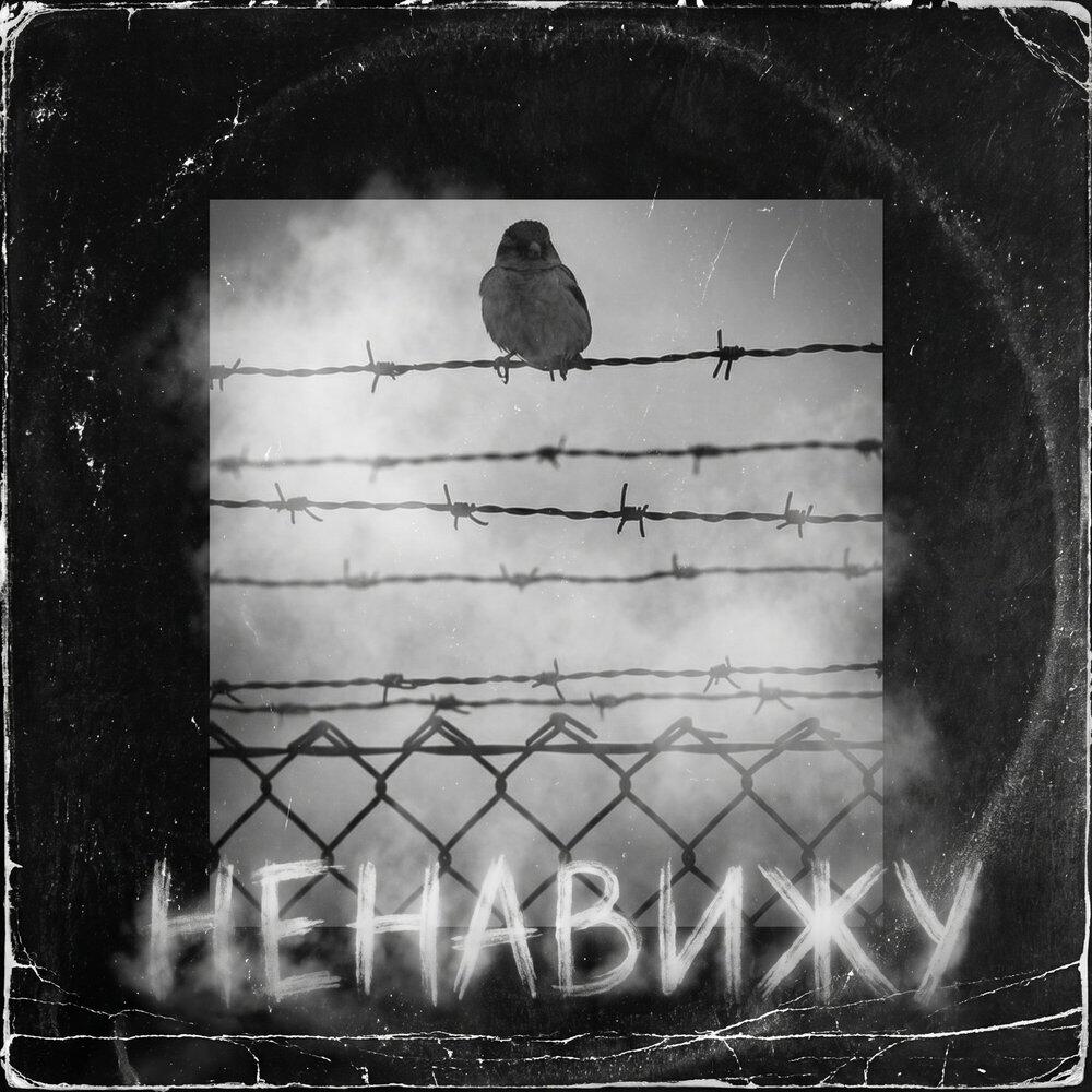 Релиз НЕНАВИЖУ