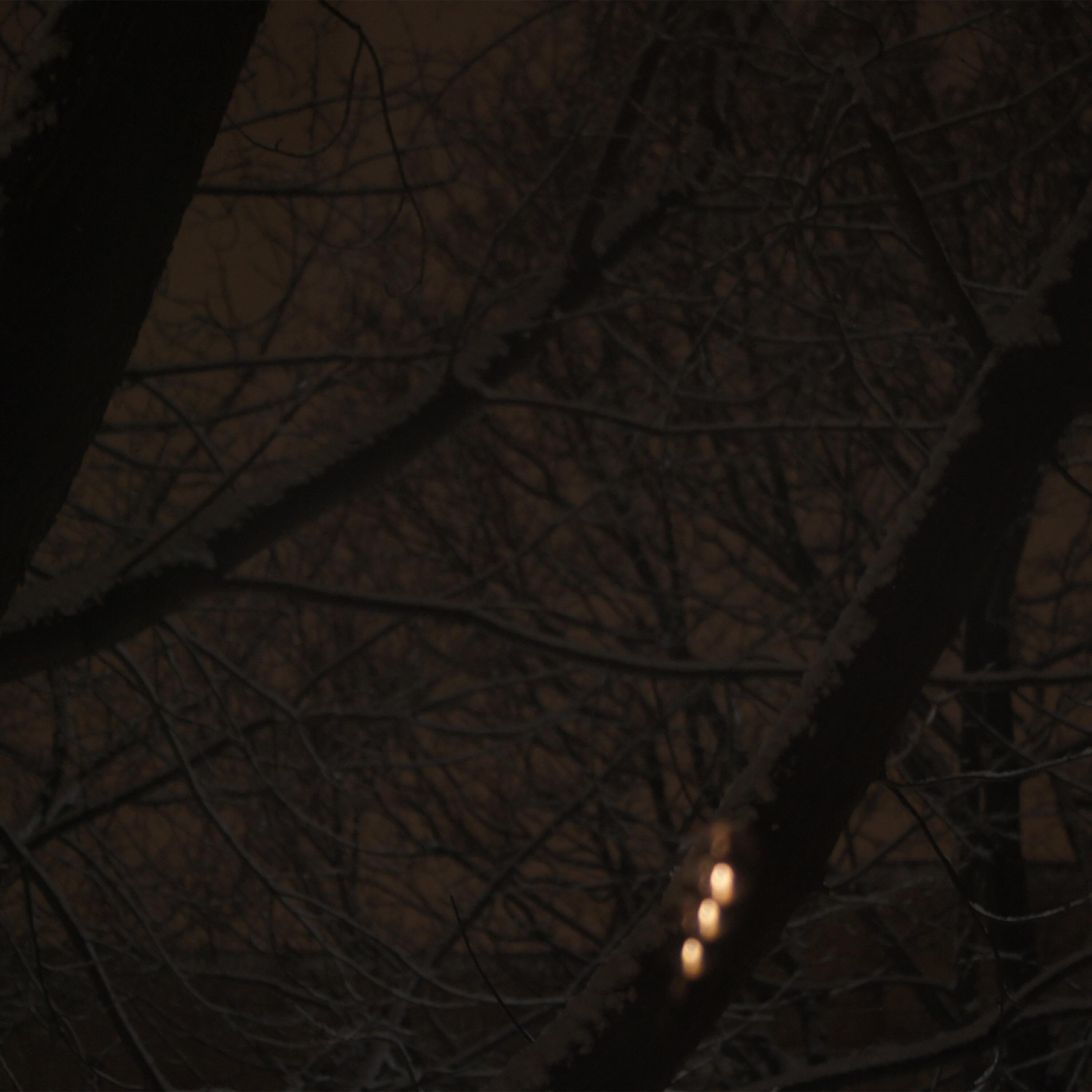 Релиз RAIN