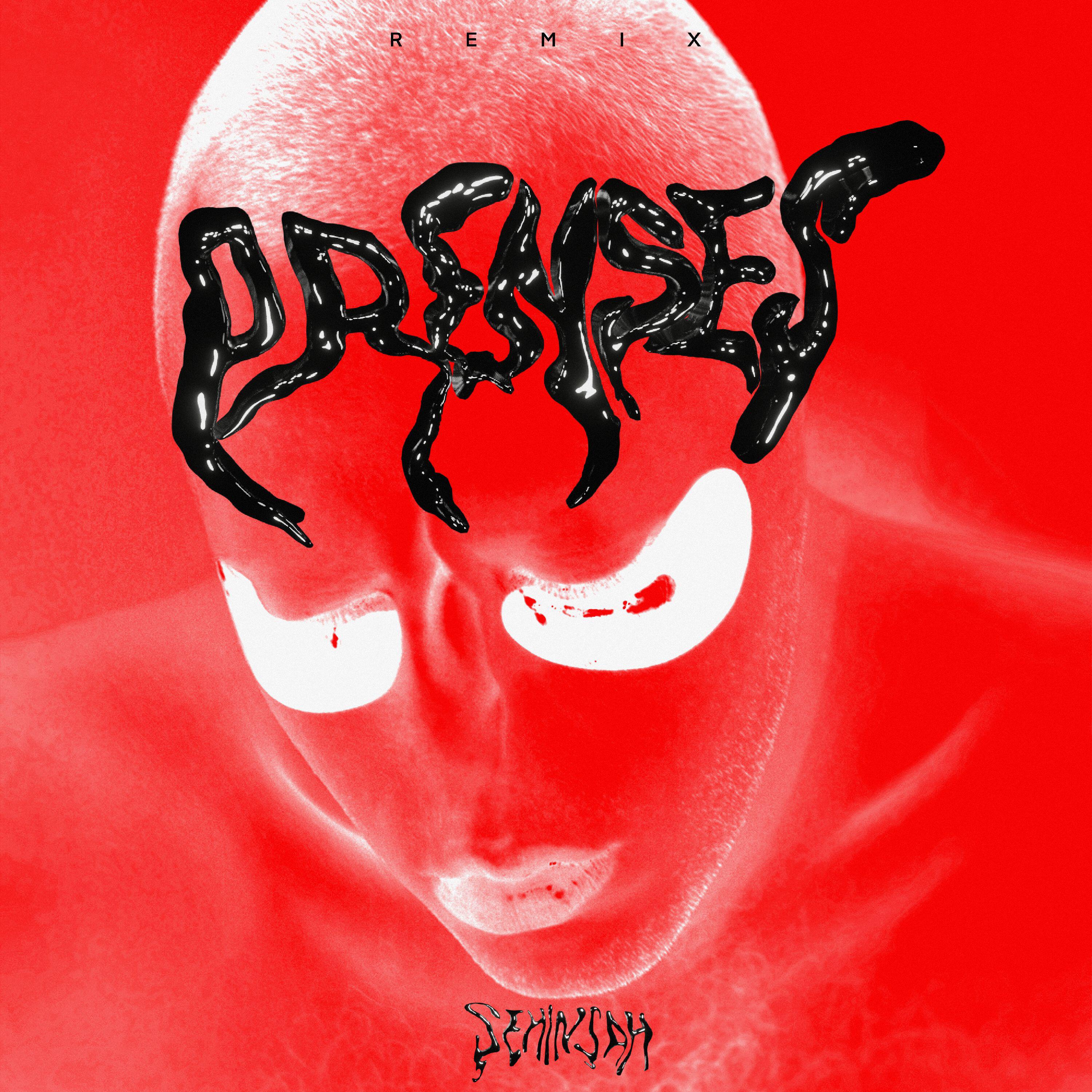 Релиз Prenses